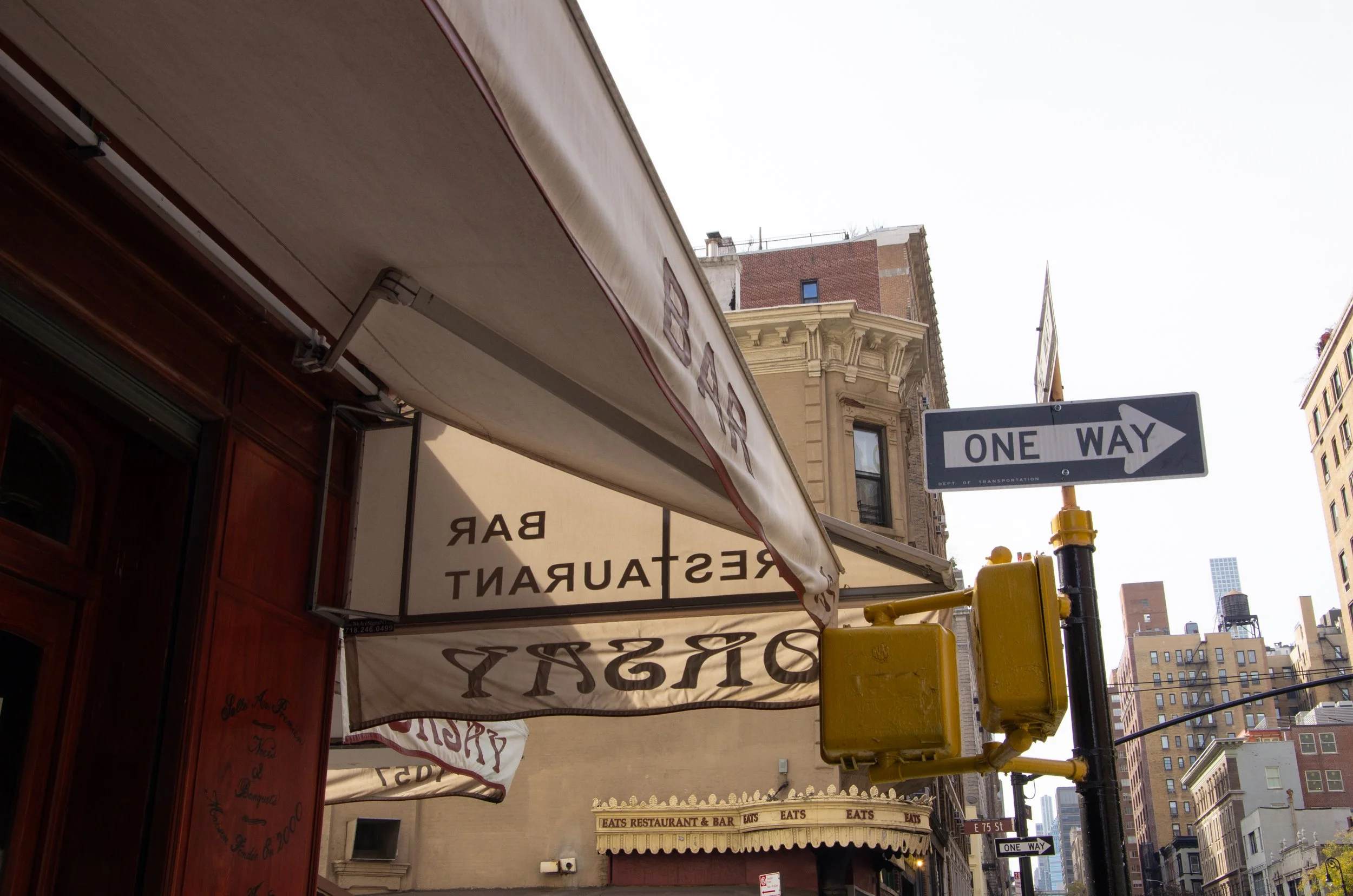 New york City [2023]