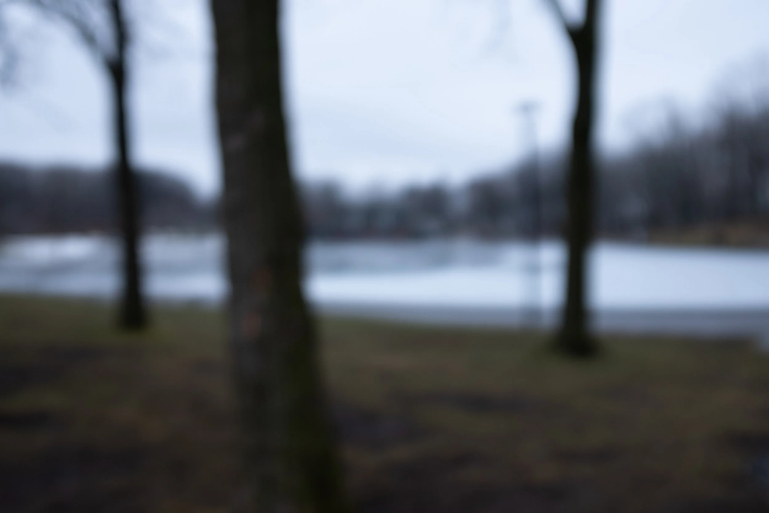 Lac aux Castors, parc du Mont-Royal - Montréal [2023]