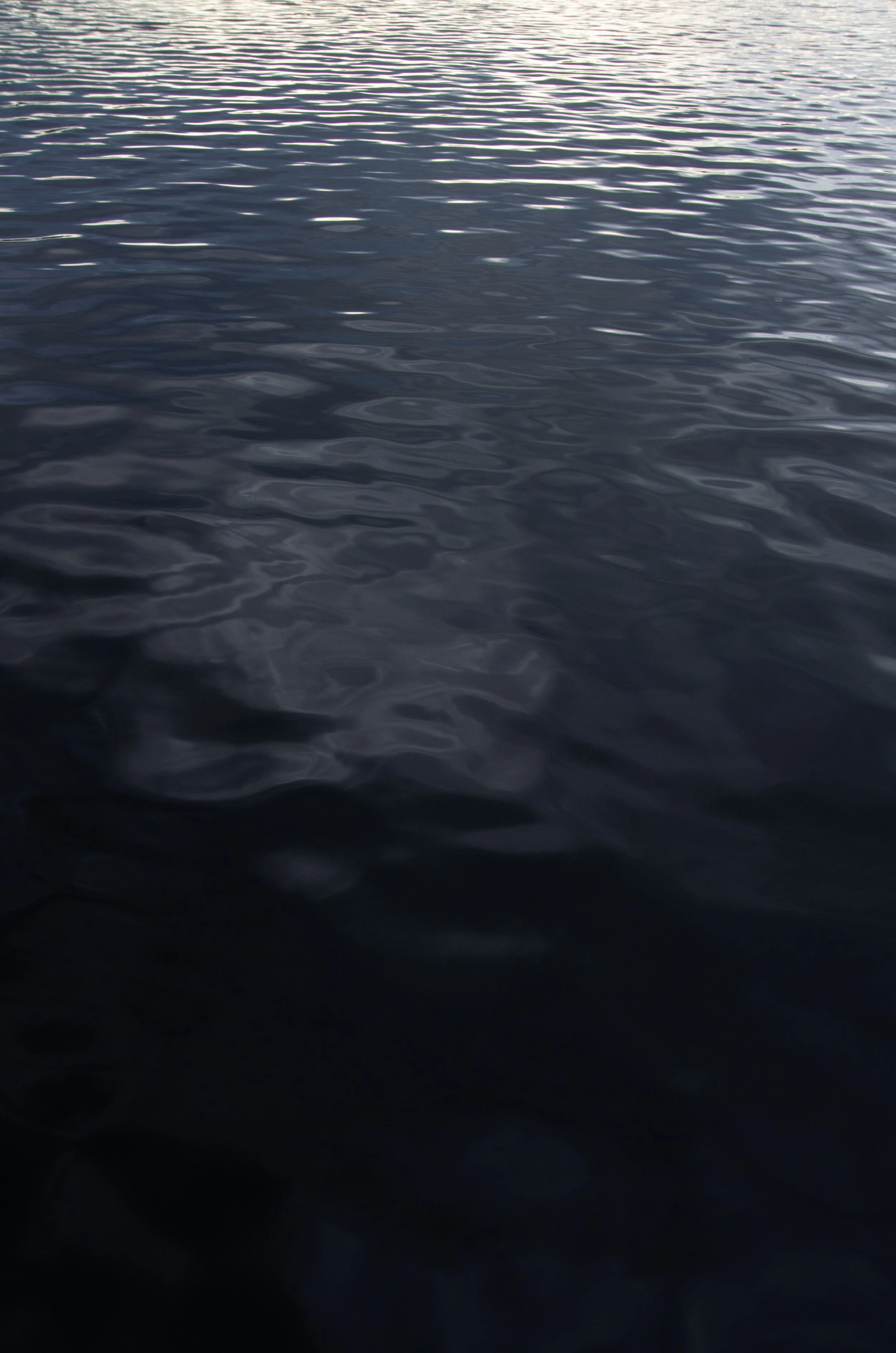 St-Félix d'Otis [2023]