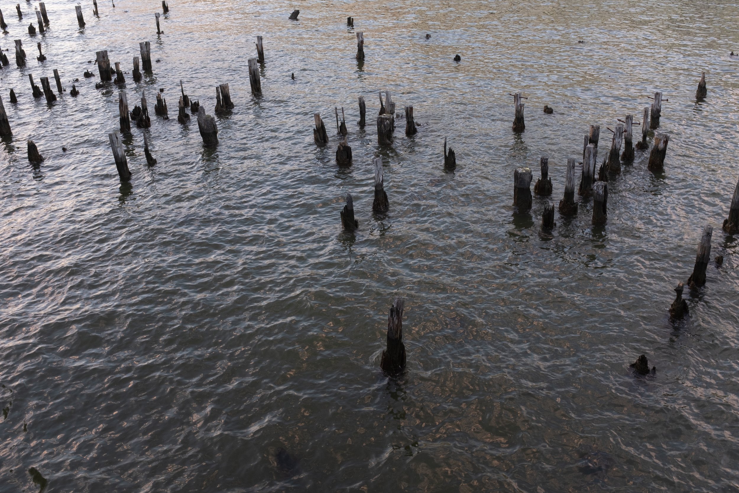 New York City [2023]