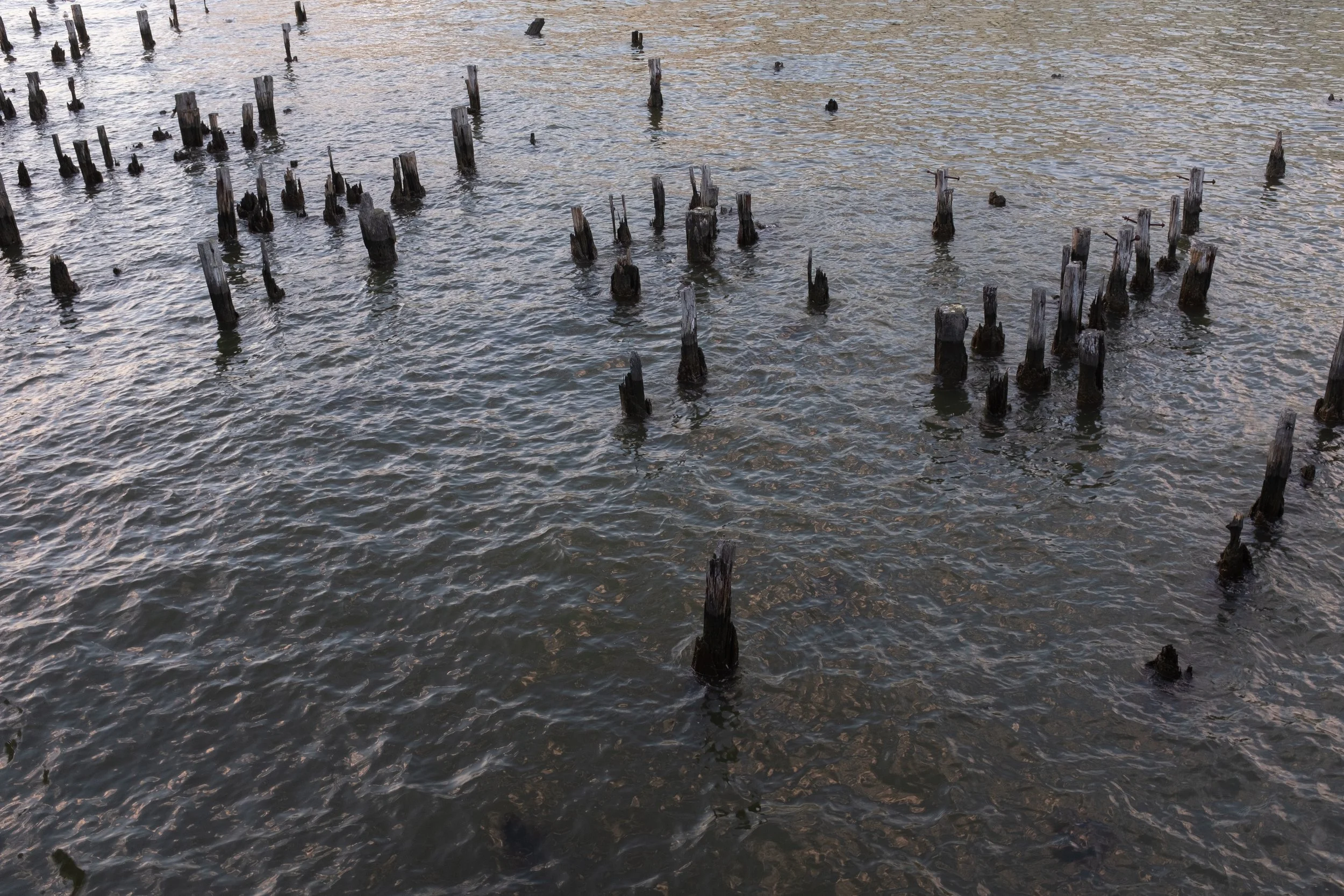 New York City [2023]