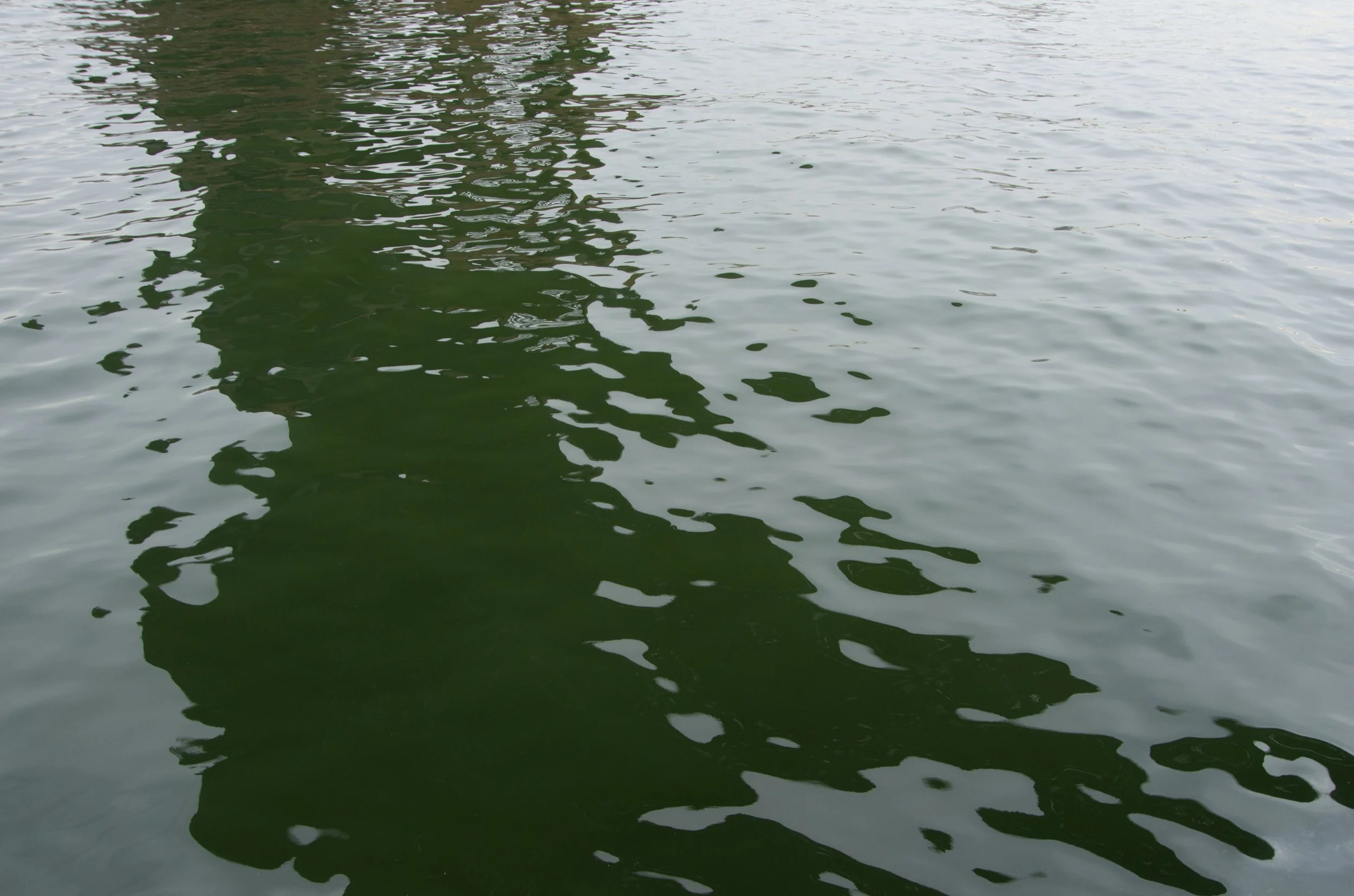 Manhattan - New York City [2023]