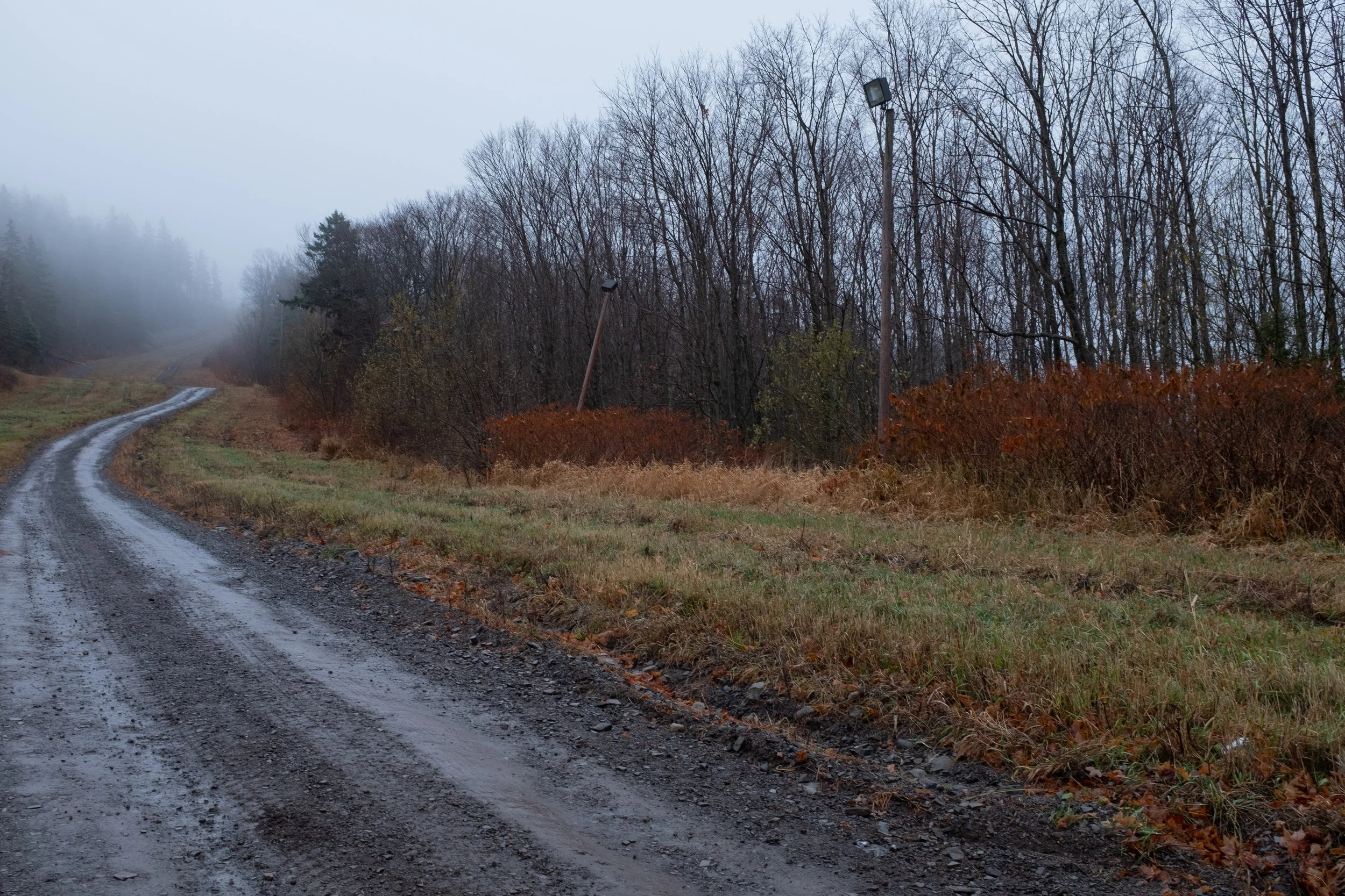 Saint-Pacôme [2024]