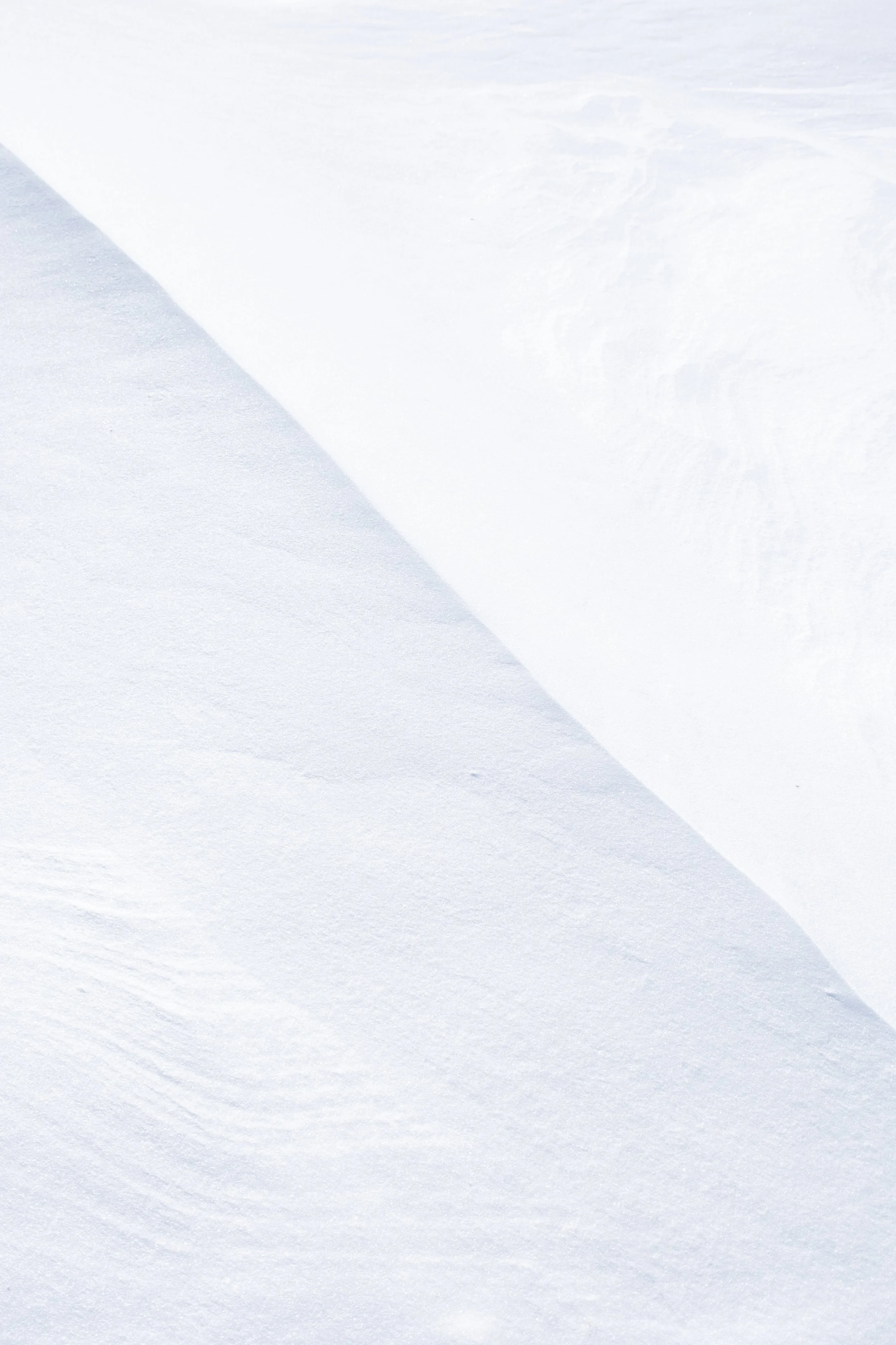 Saint-Germain [2025]