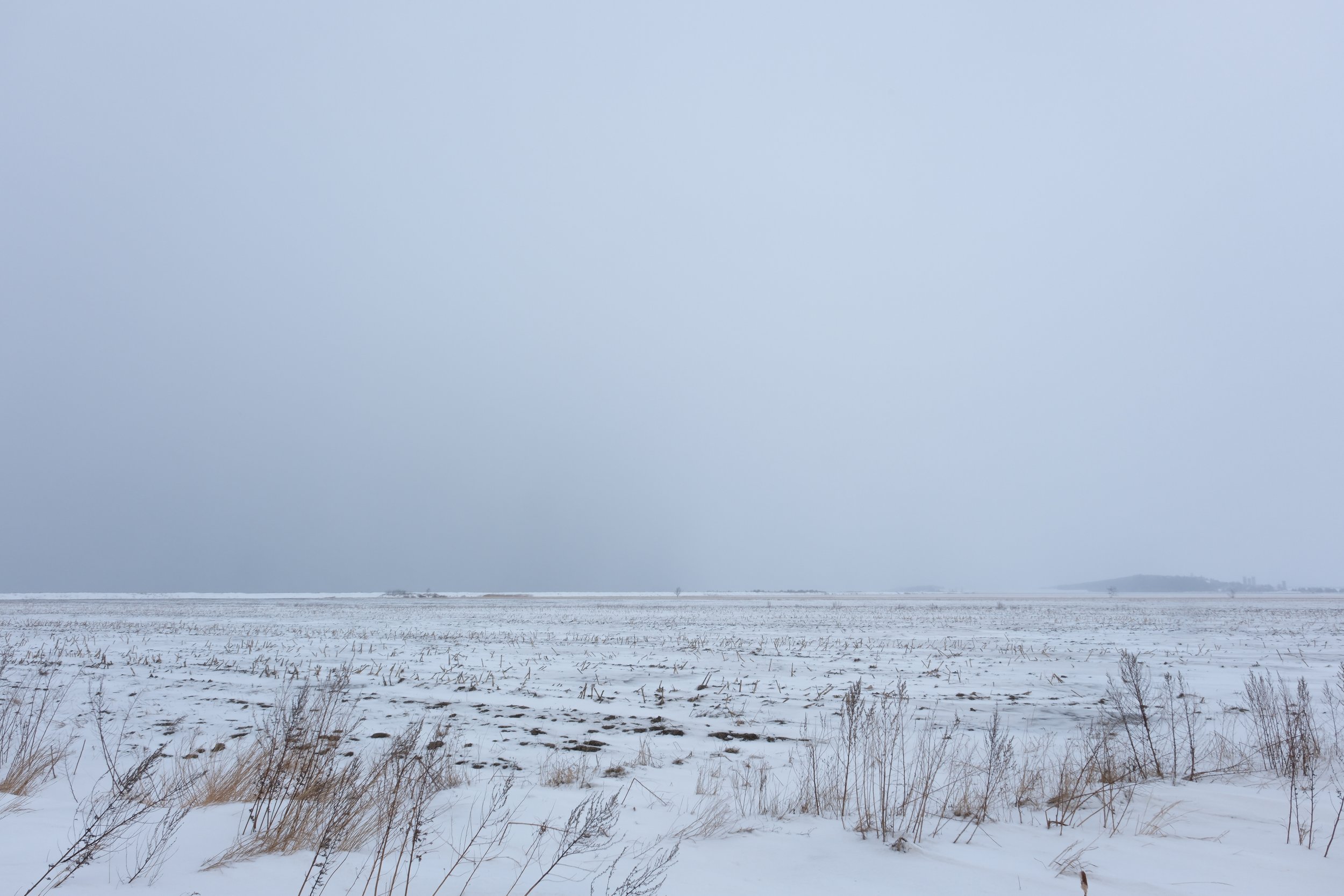 Saint-Denis-de-la-Bouteillerie [2025]