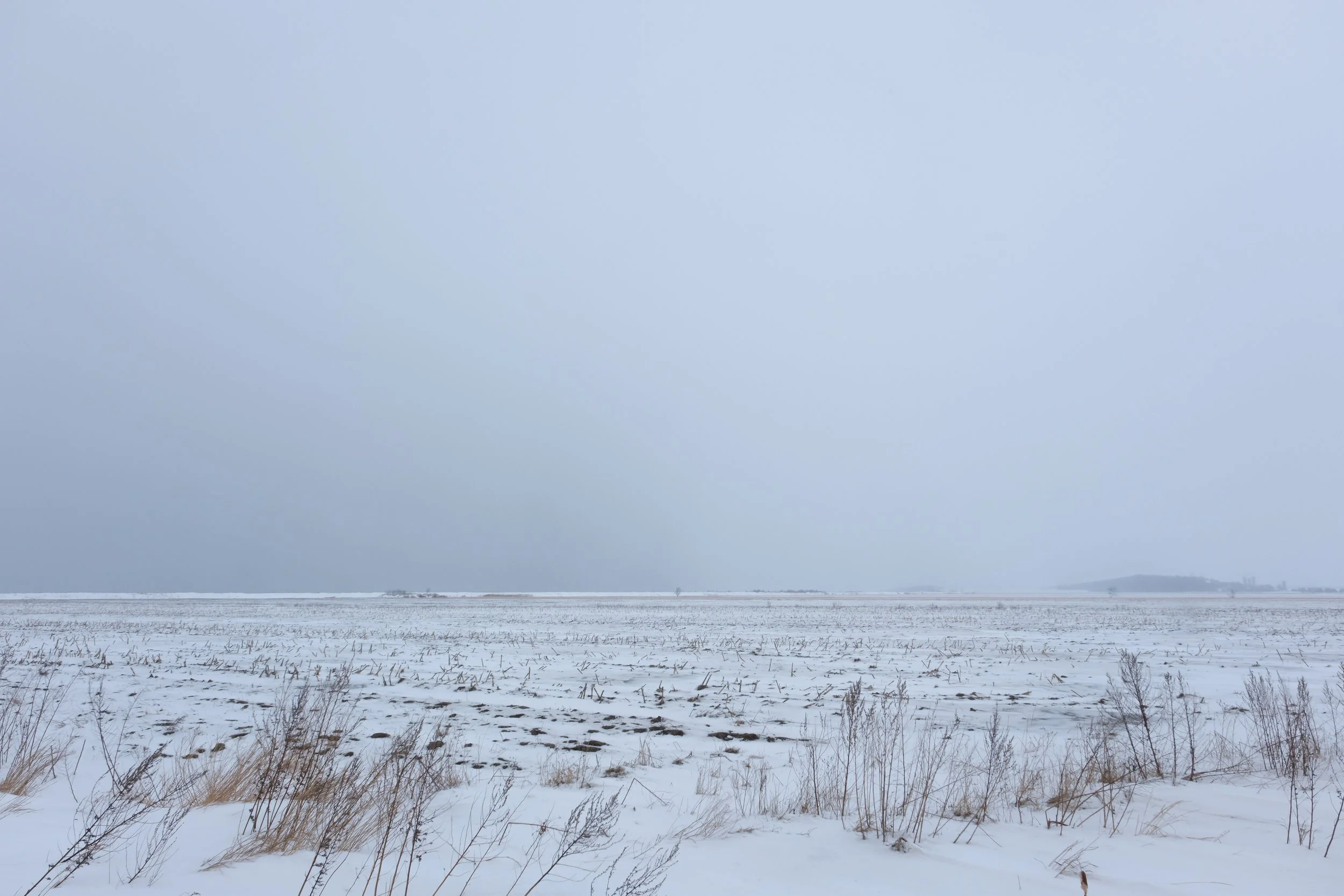 Saint-Denis-de-la-Bouteillerie [2025]