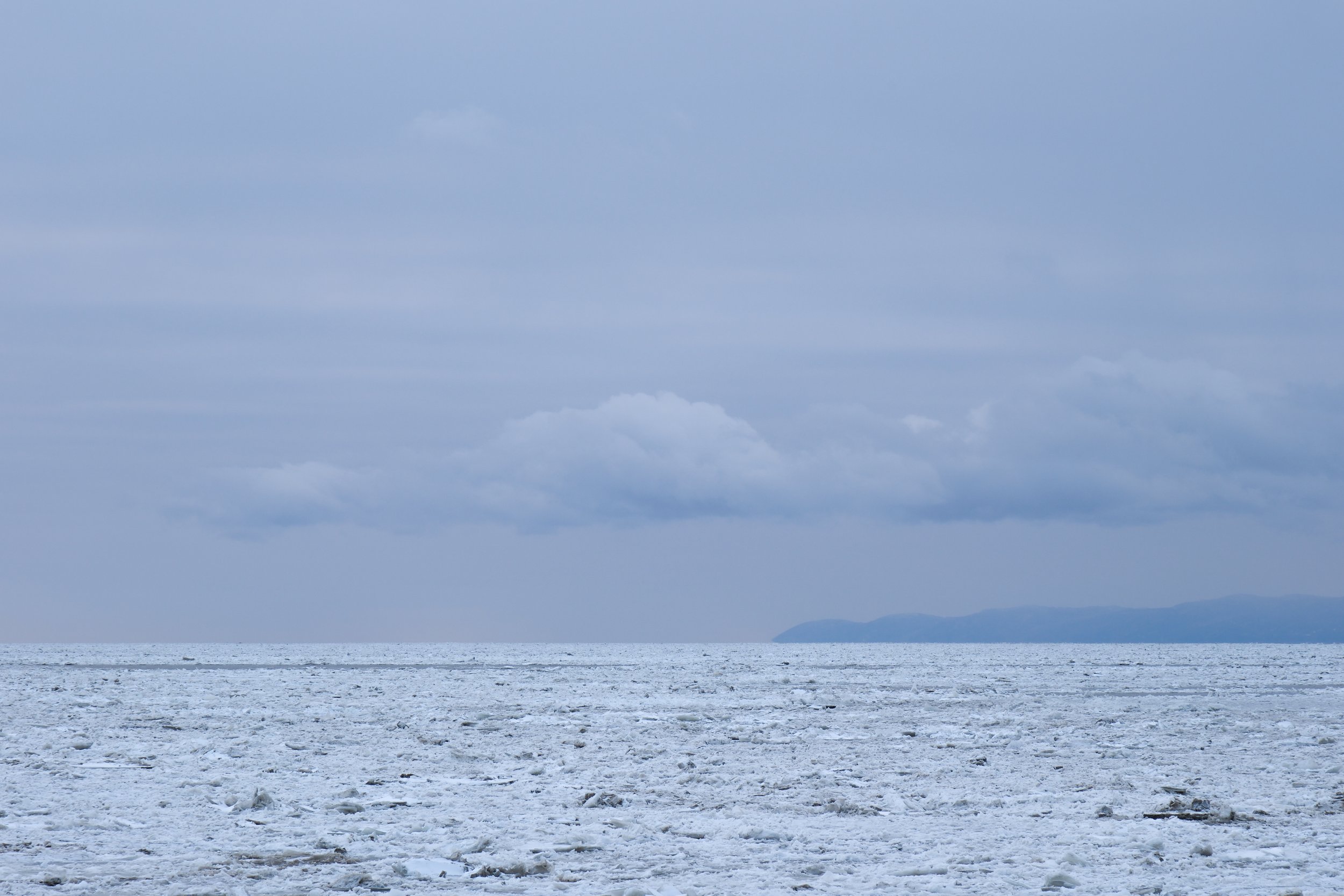 Rivière Ouelle [2025]