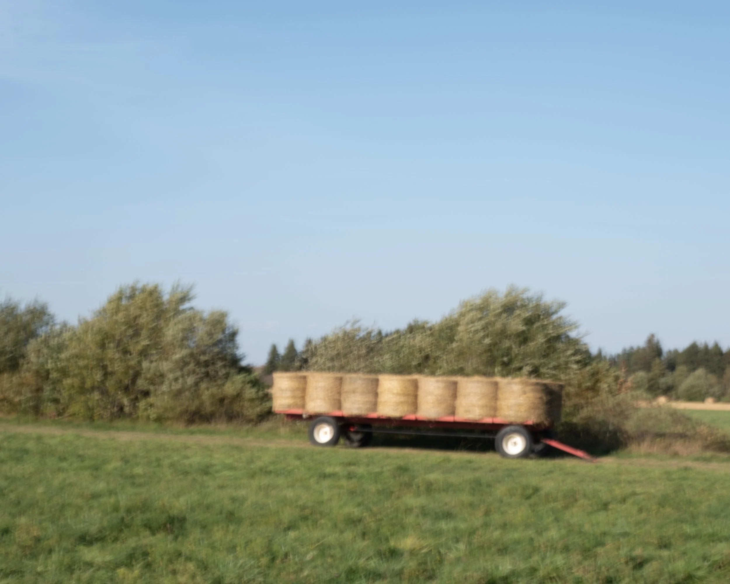 Saint-Pacôme [2025]