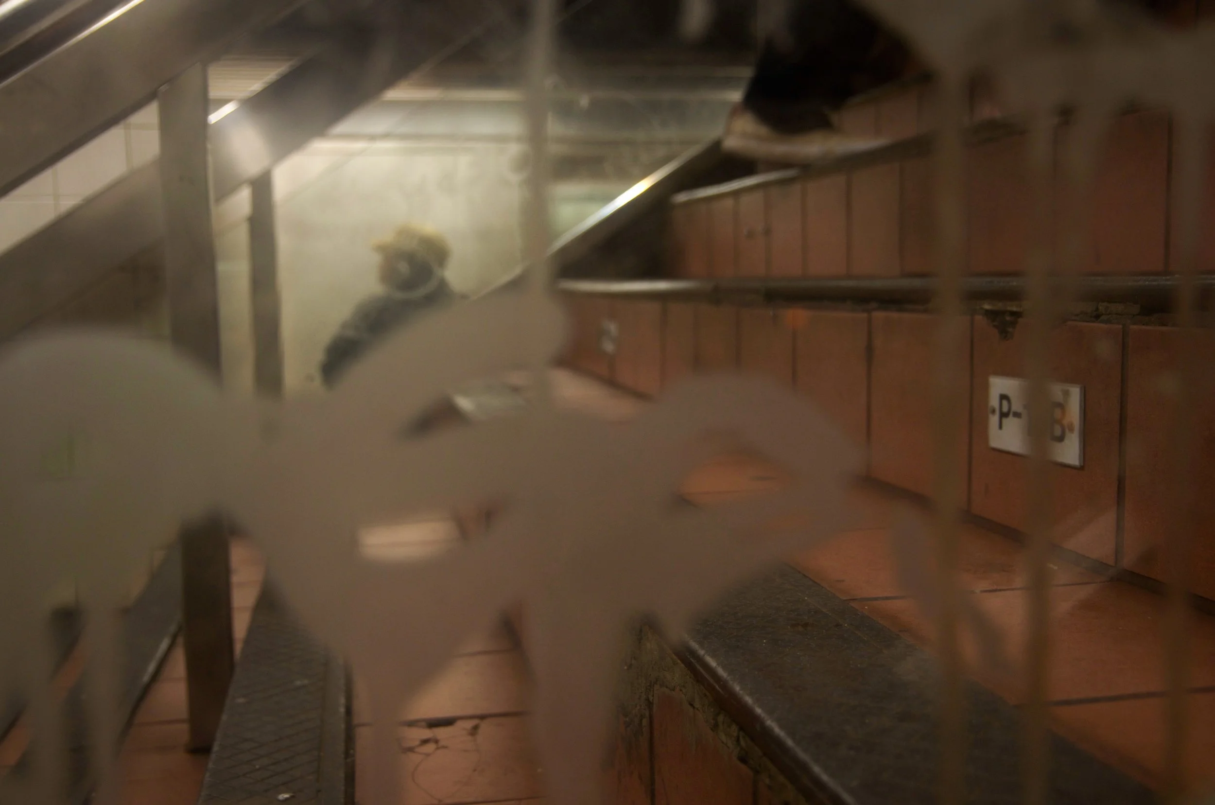 New York City [2014]