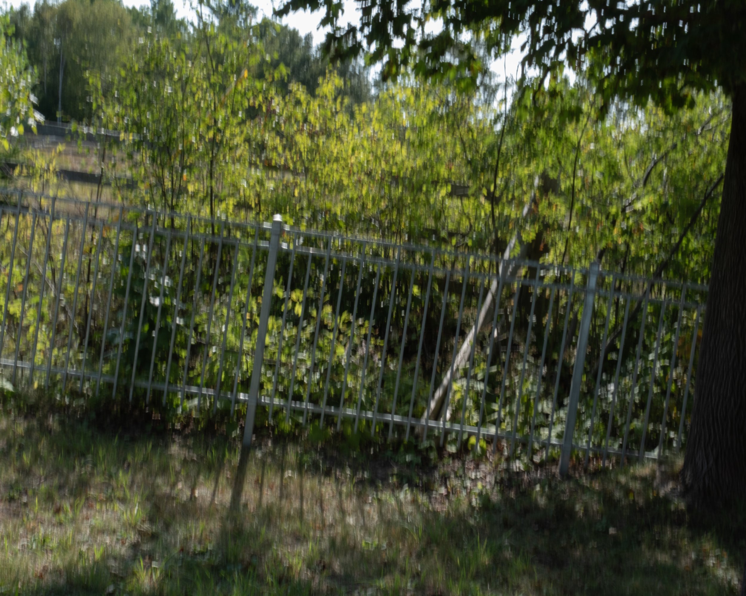 Saint-Pacôme [2025]