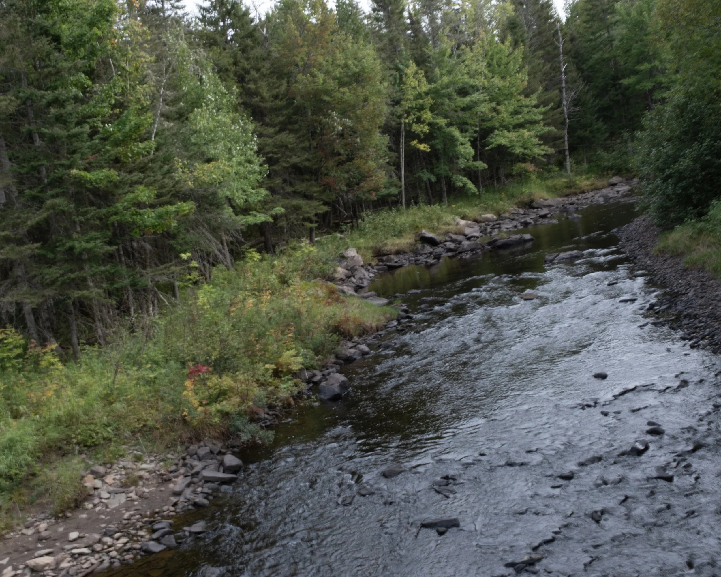 Ixworth Sanctuary [2025]