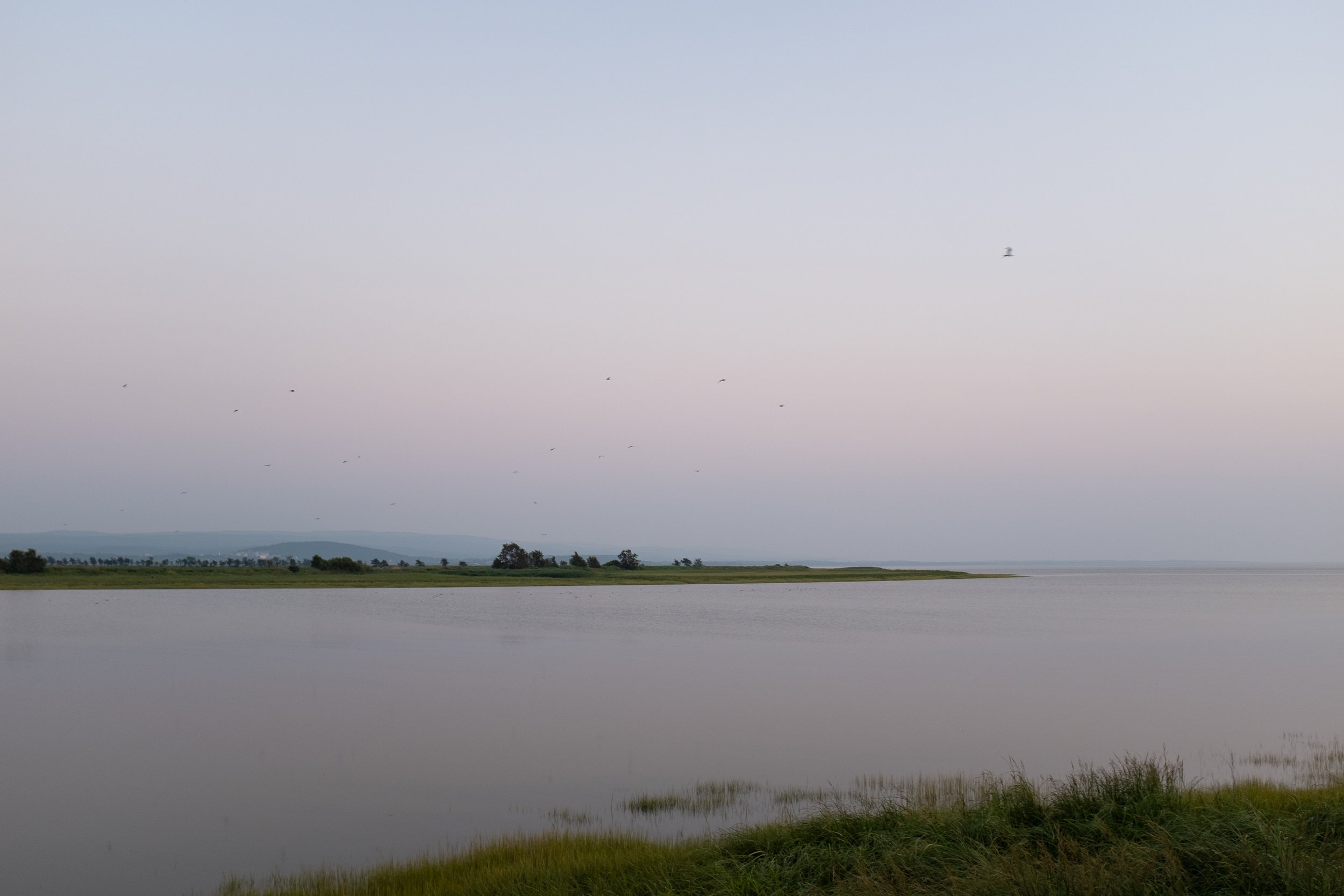 Rivière-Ouelle [2025]