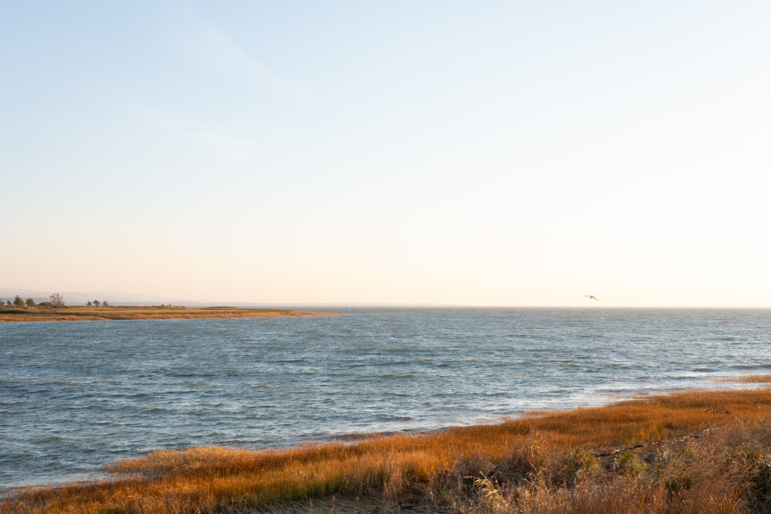 Riviere-Ouelle [2025]