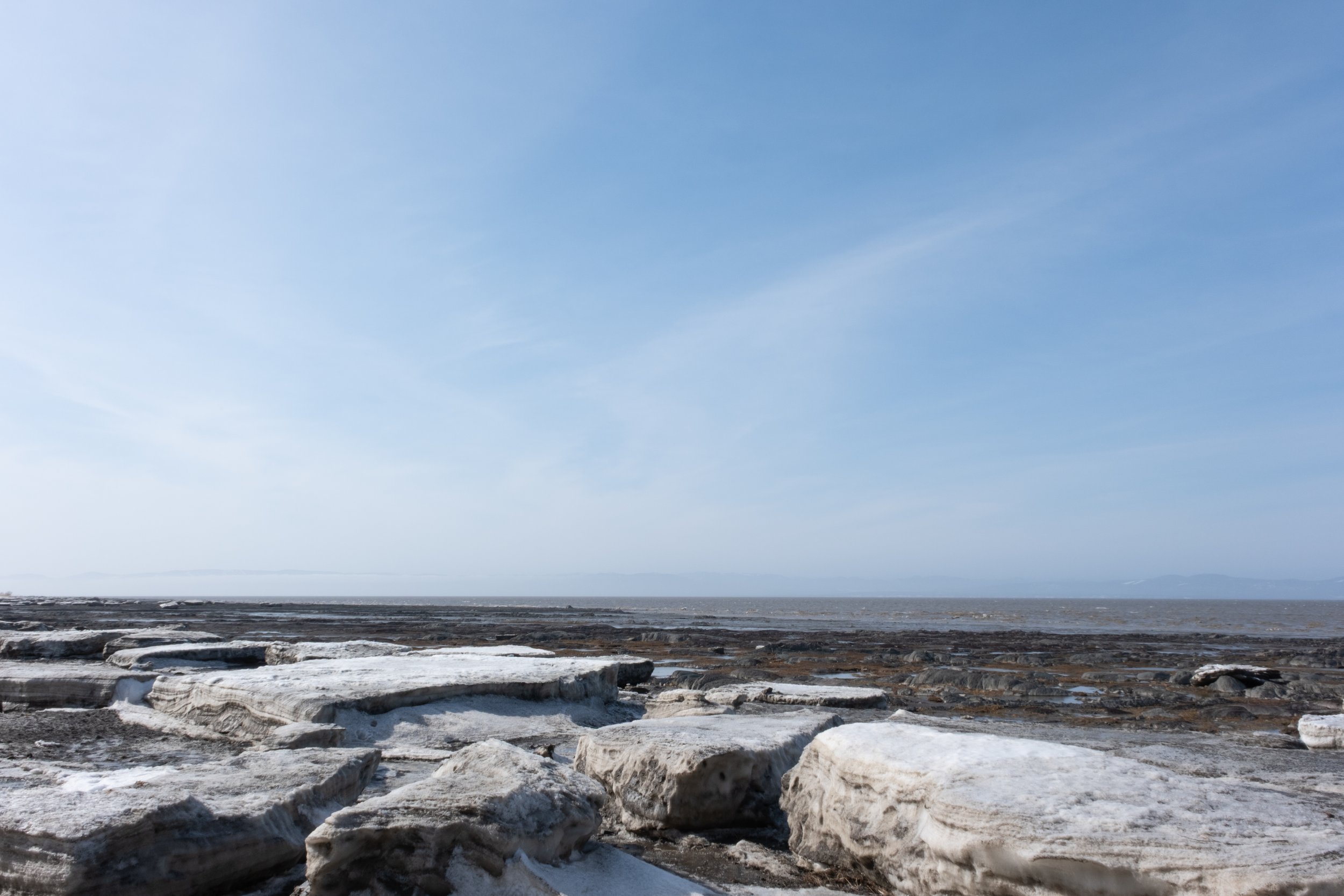 Saint-Roch-des-Aulnaies [2025]