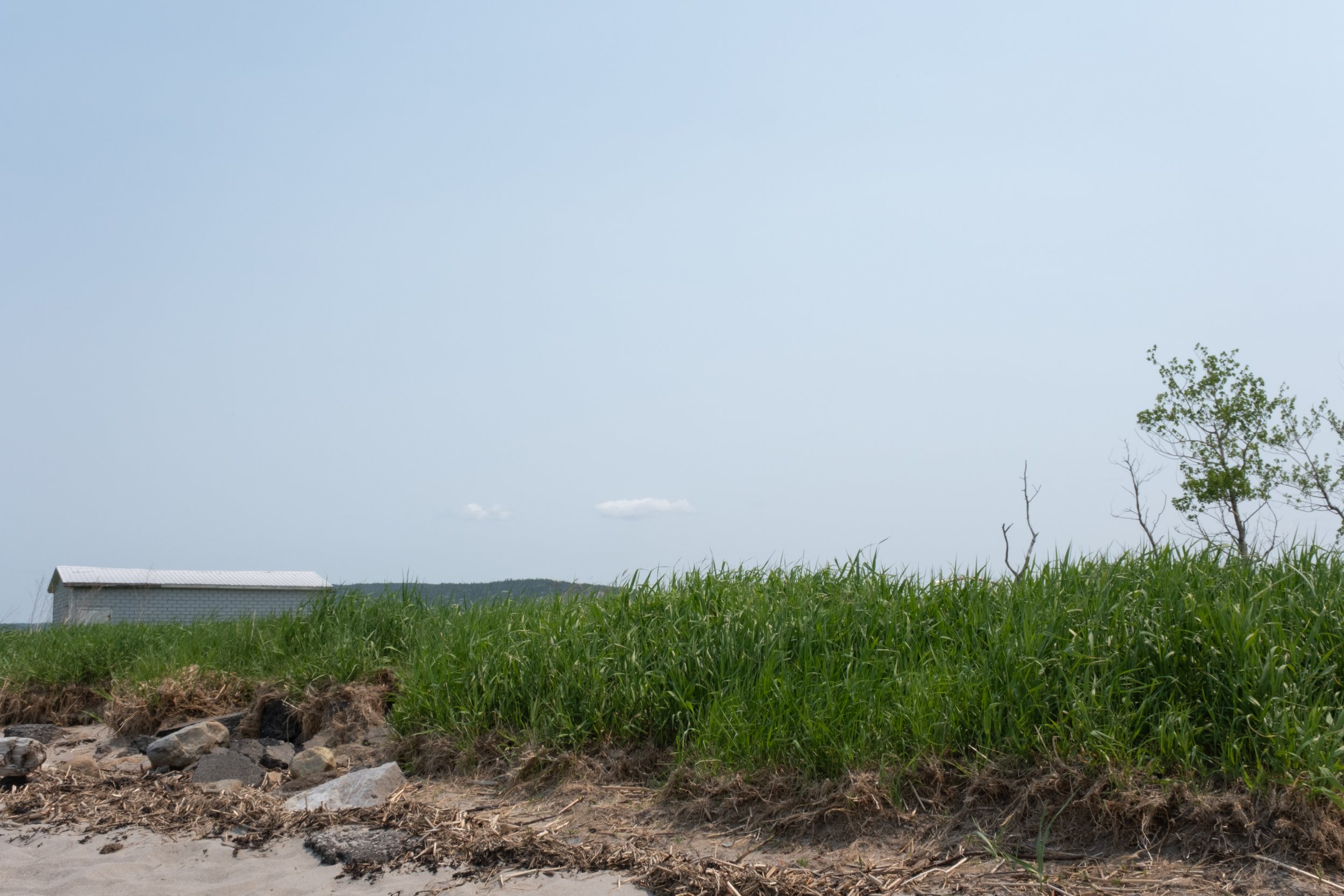 Saint-Germain-de-Kamouraska [2025]