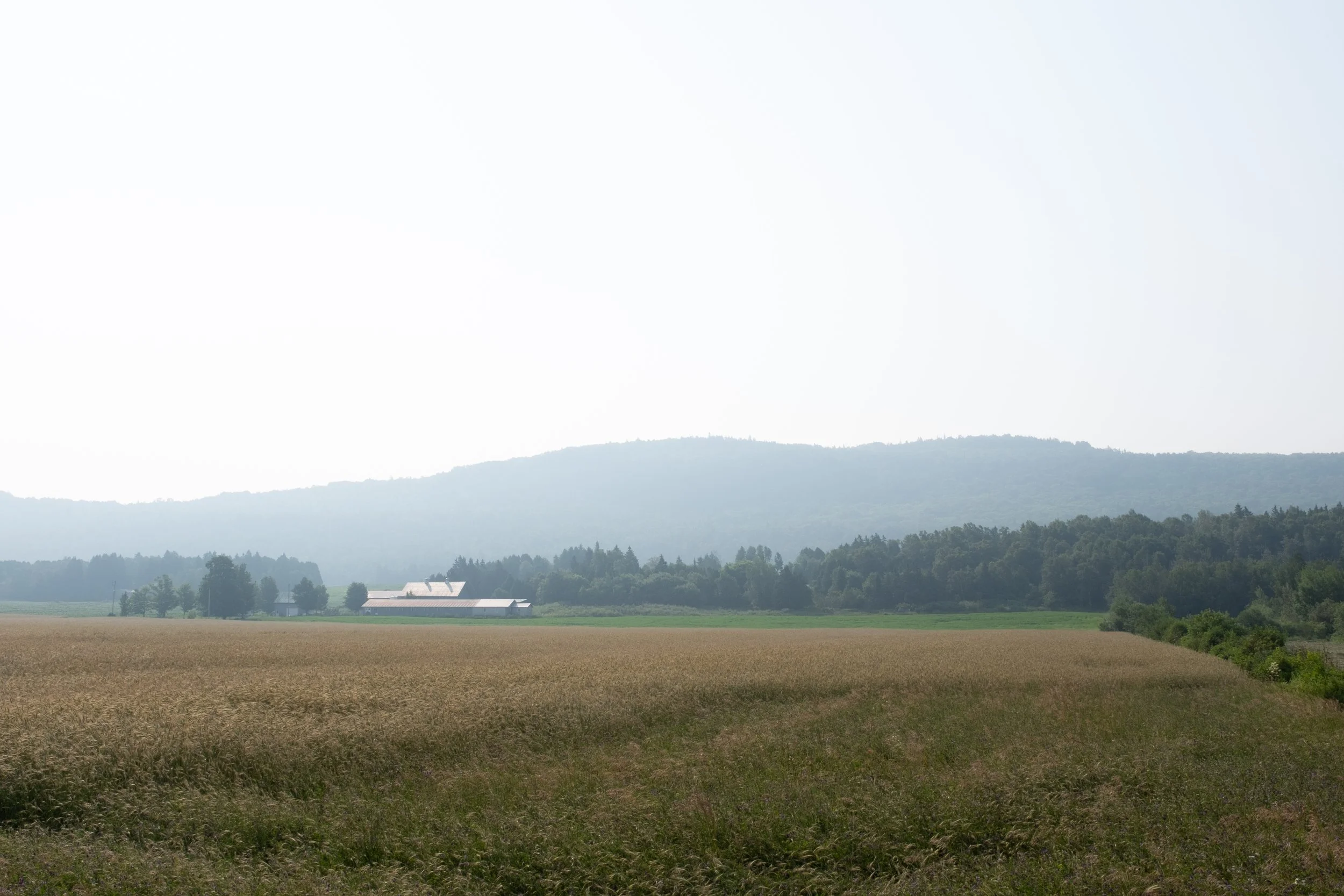 Saint-Pacôme [2025]