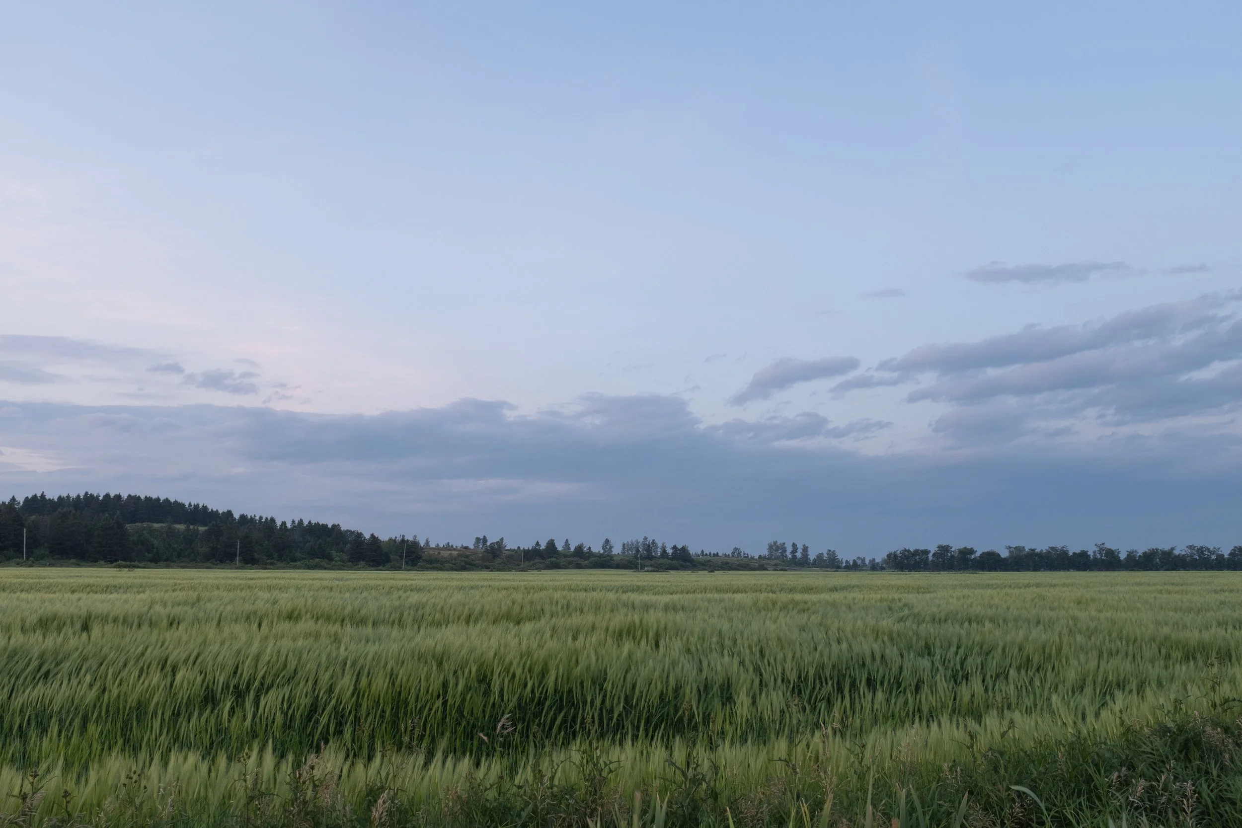 Riviere-Ouelle [2025]