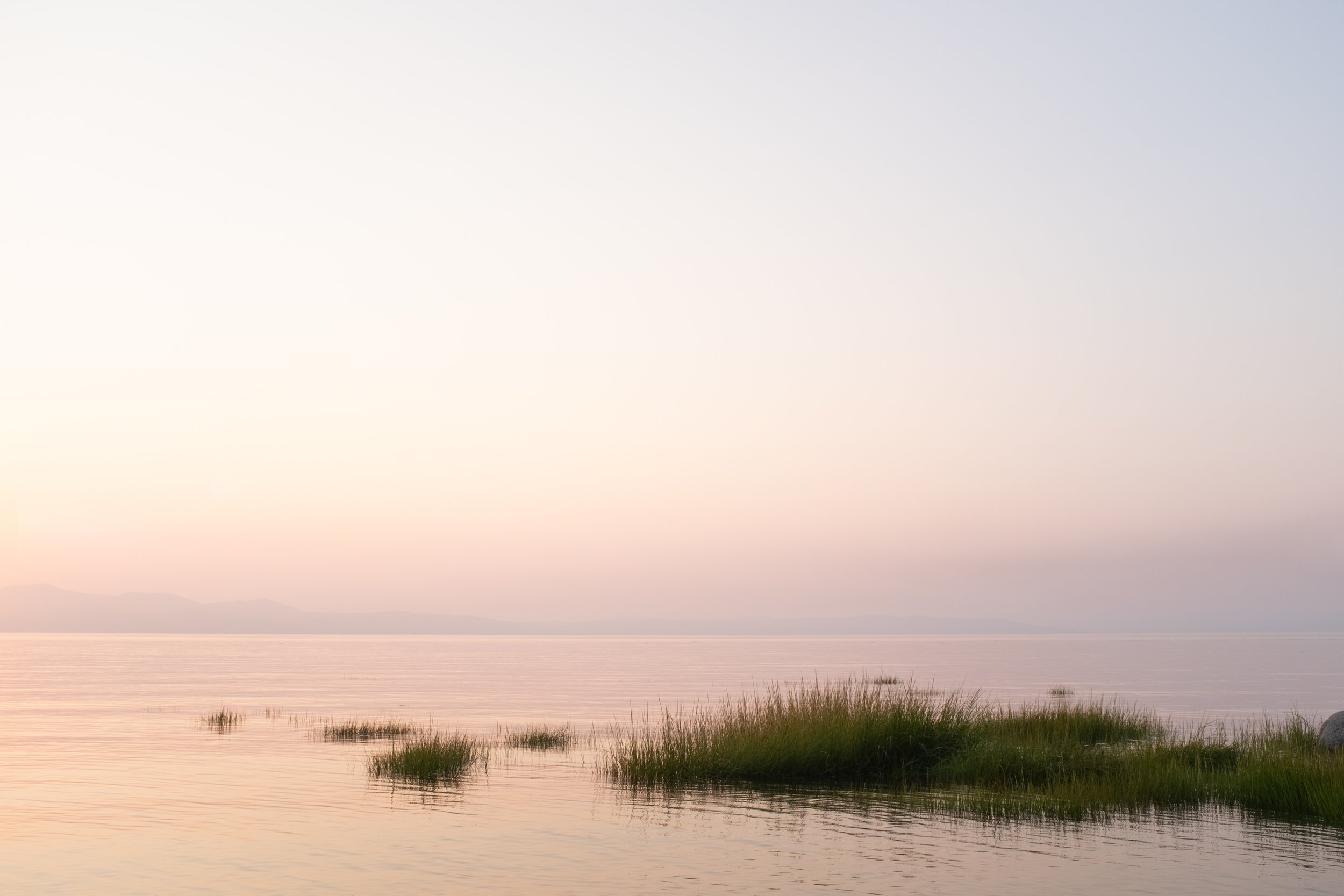 Pointe-de-Rivière-Ouelle [2025]