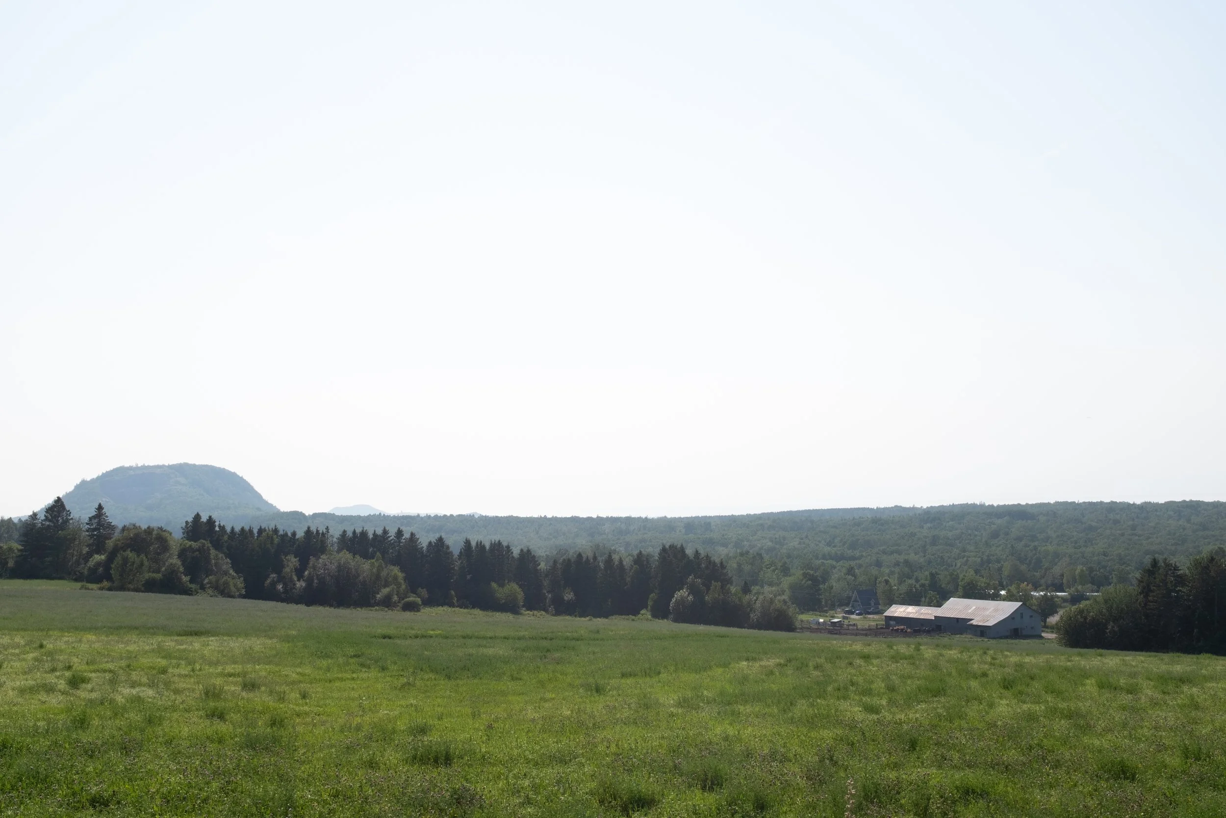 Saint-Pacôme [2025]