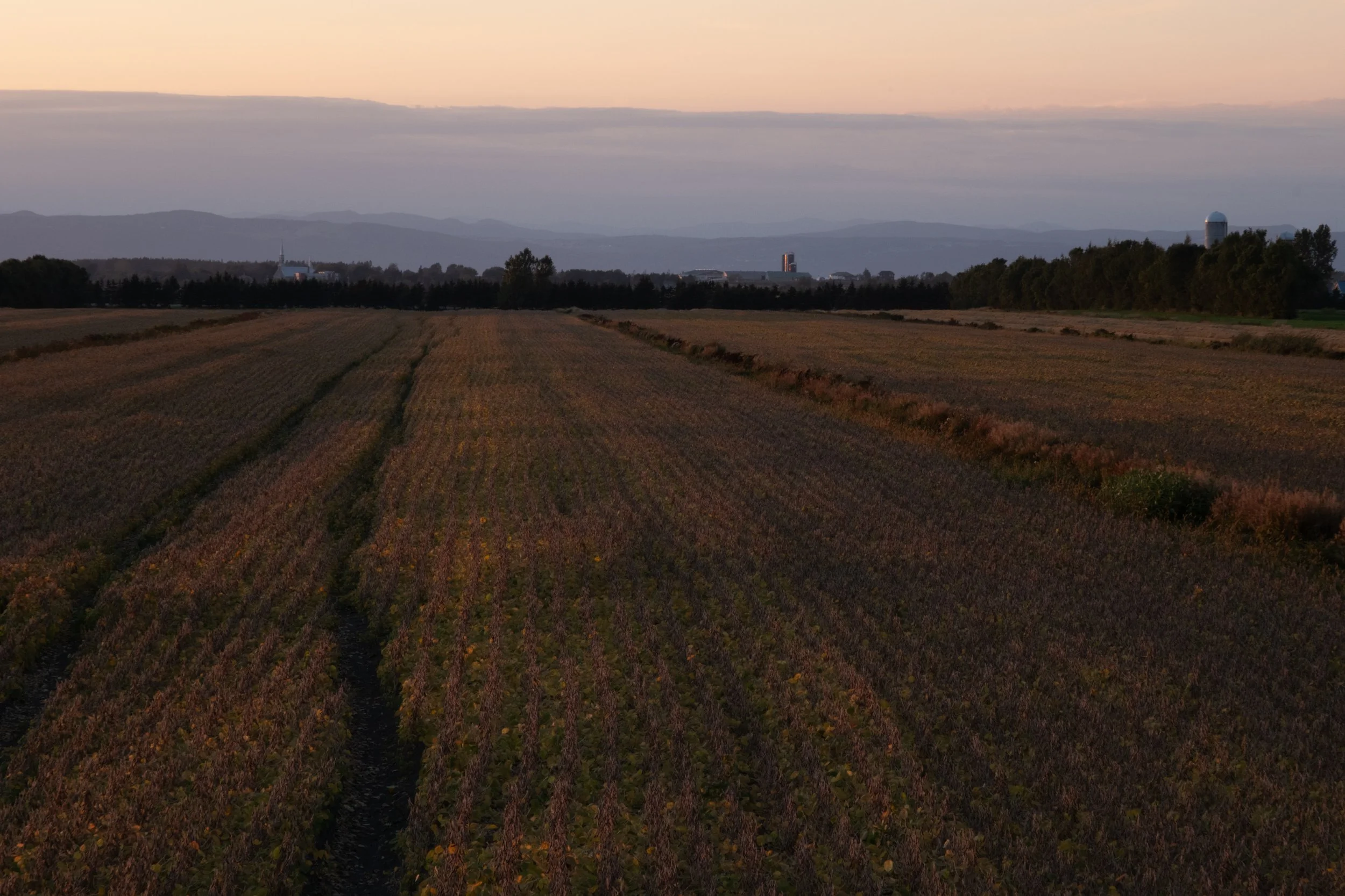 Saint-Pacôme [2025]