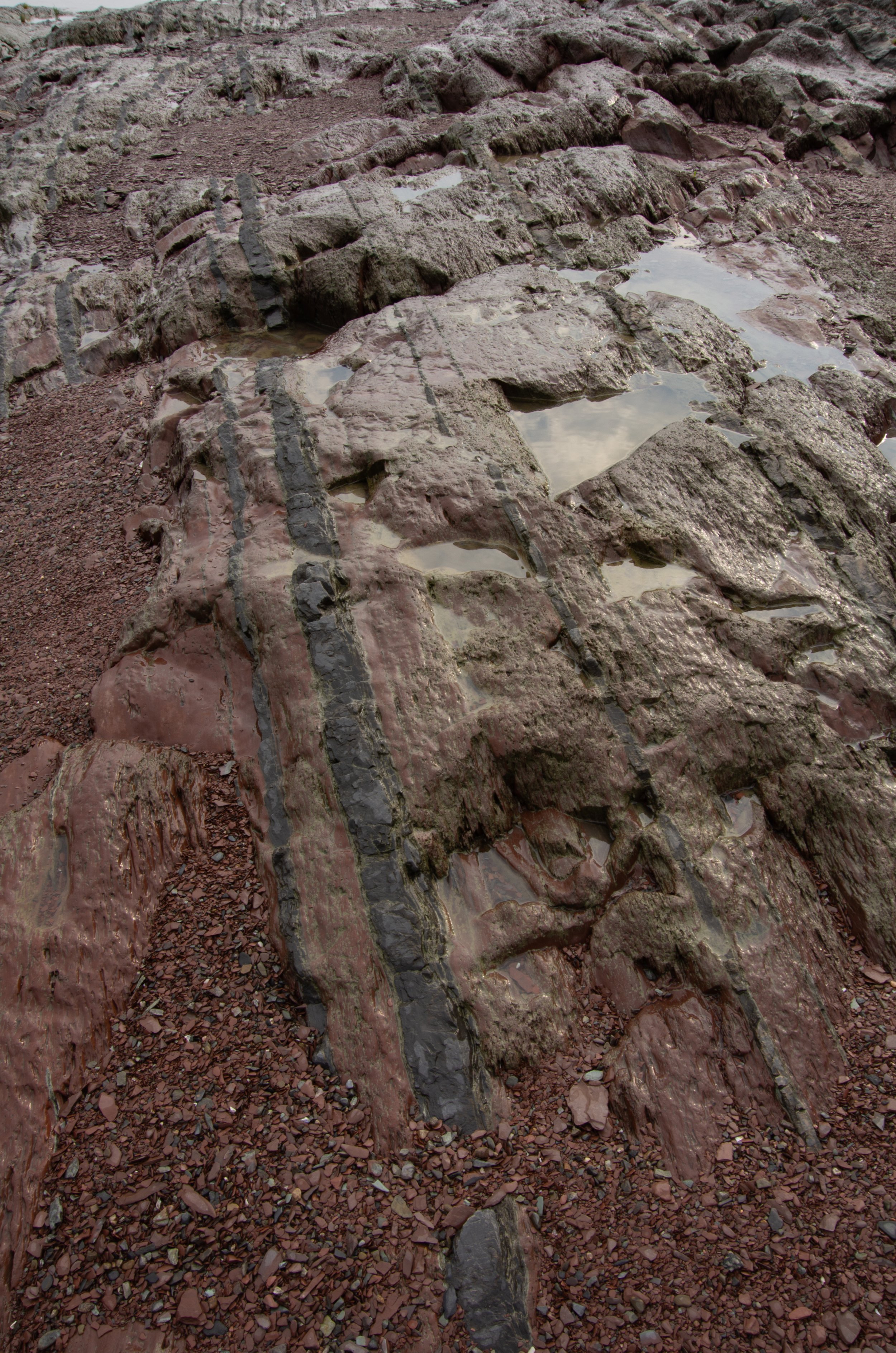 Berthier-sur-Mer [2024]