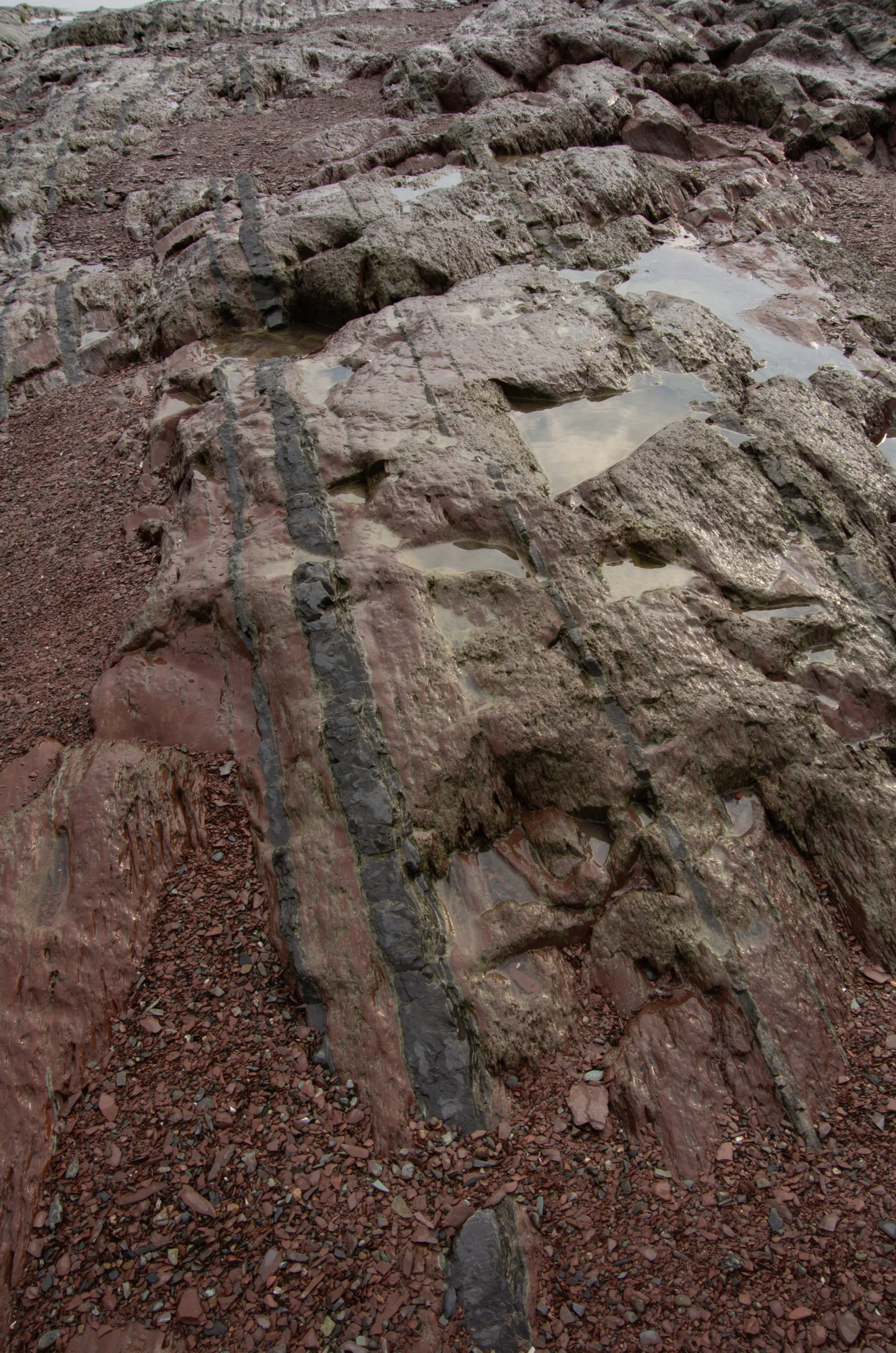 Berthier-sur-Mer [2024]