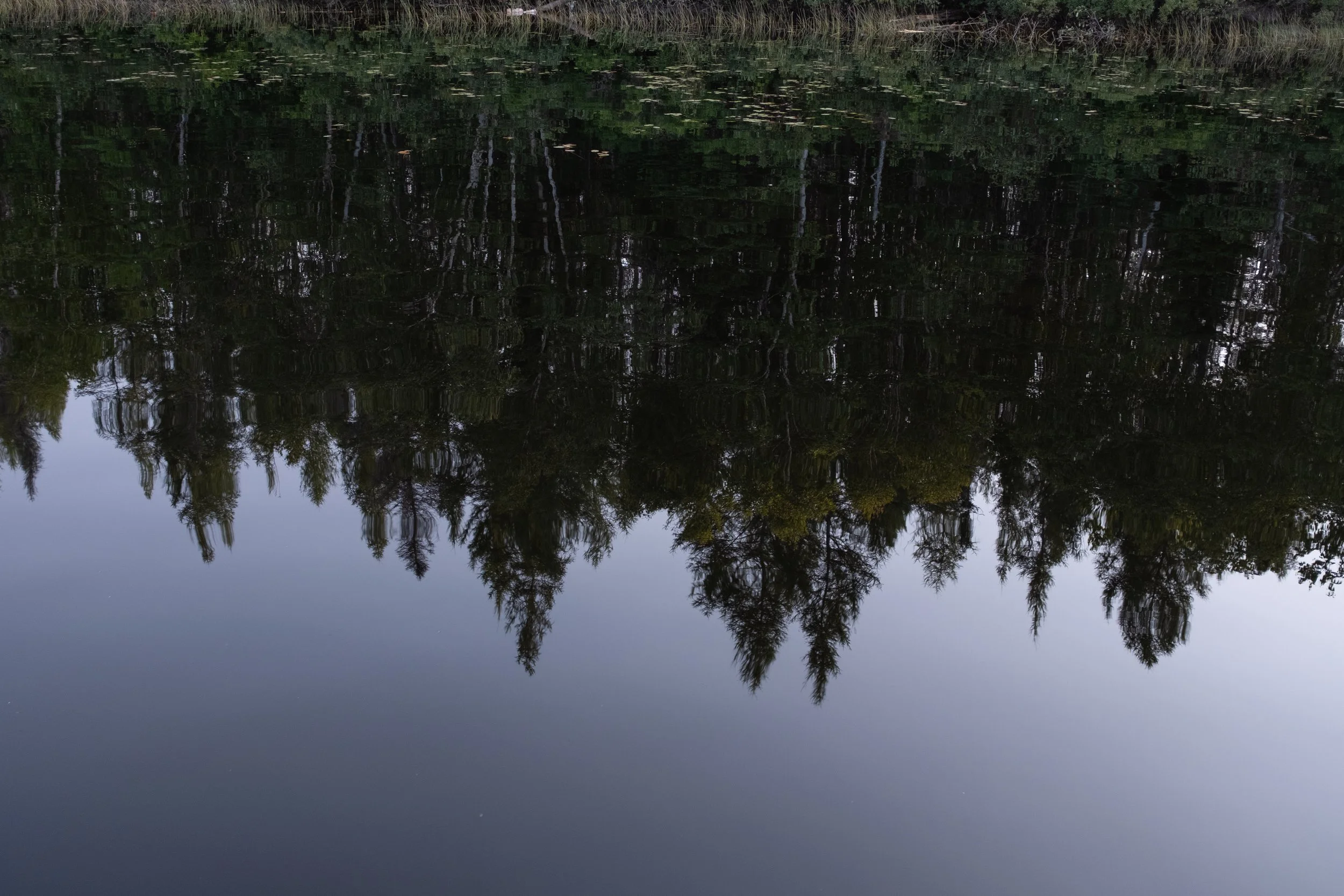 St-Felix-d'Otis [2023]