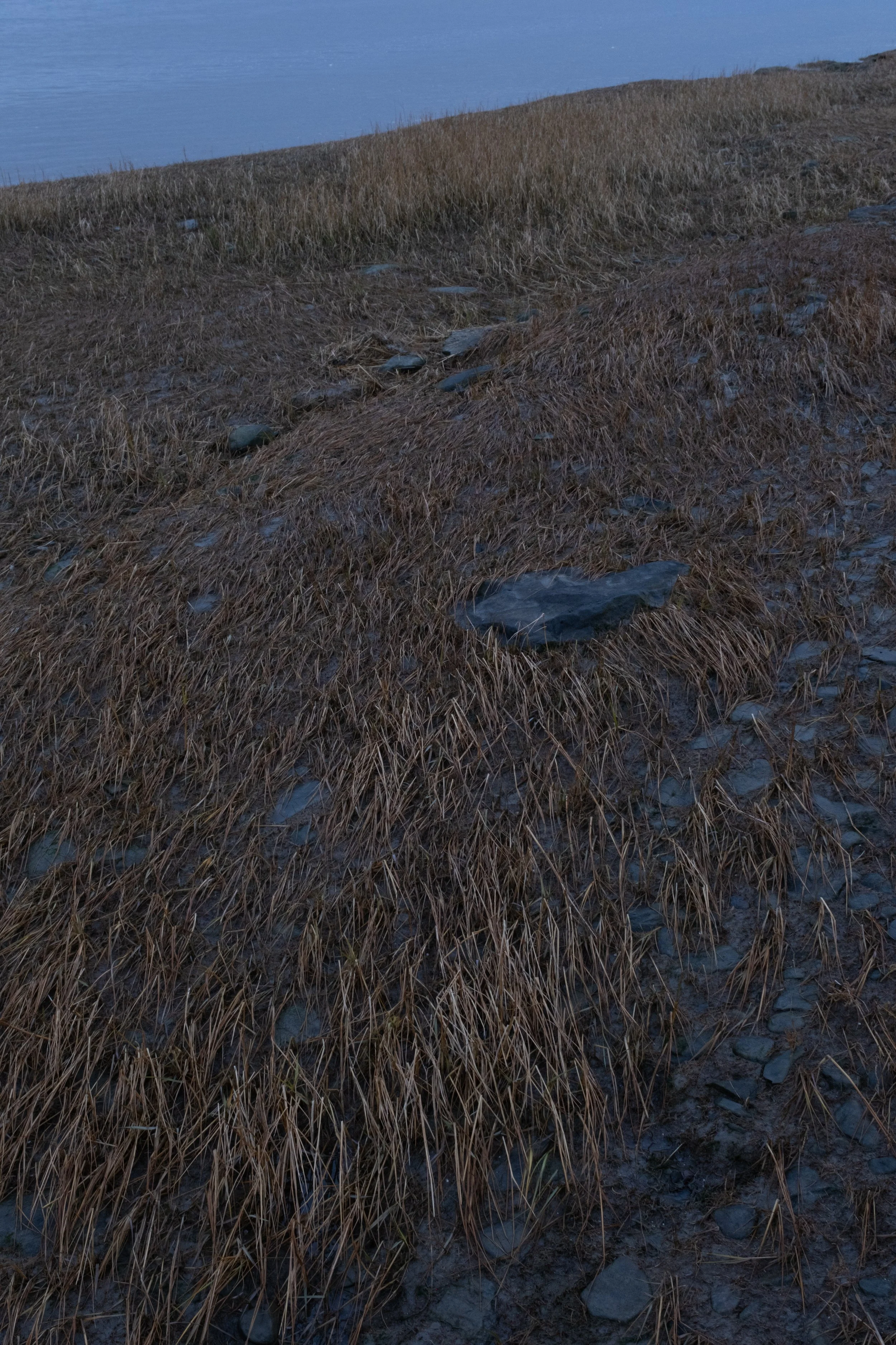 Riviere-Ouelle [2025]