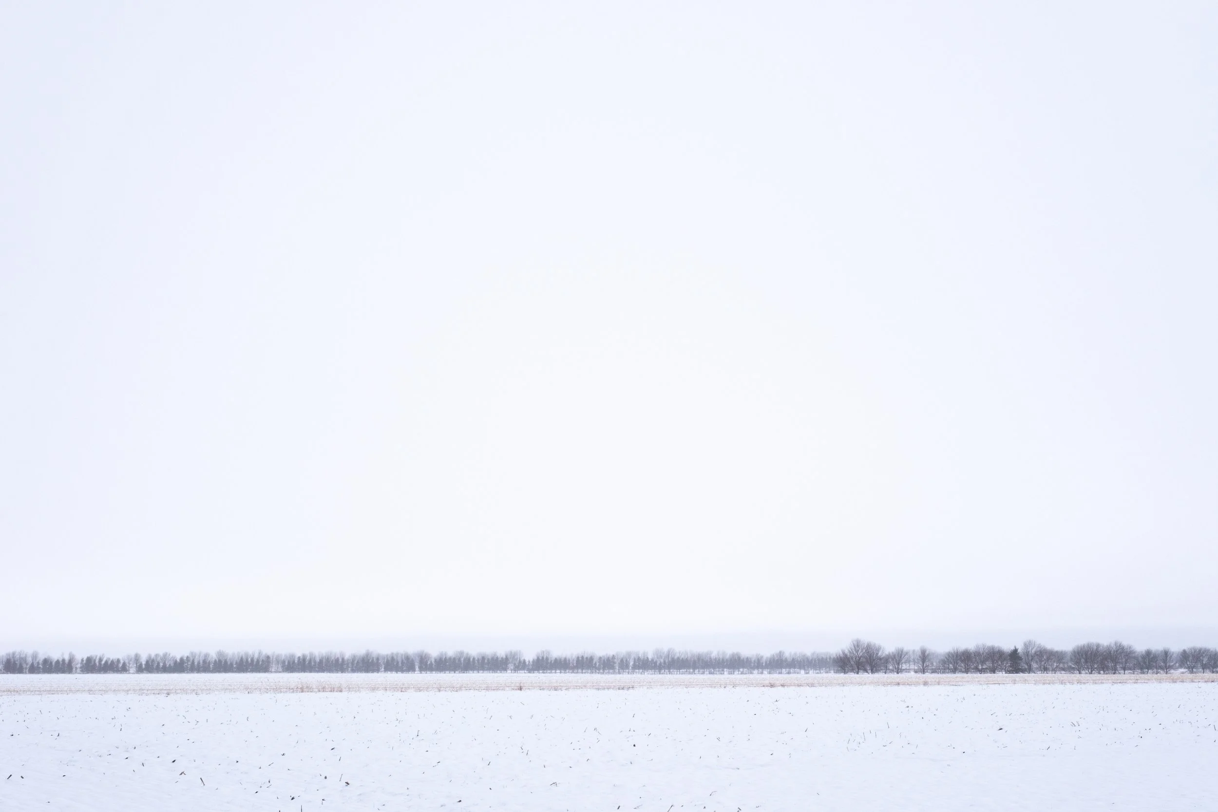 Saint-Pacôme [2026]