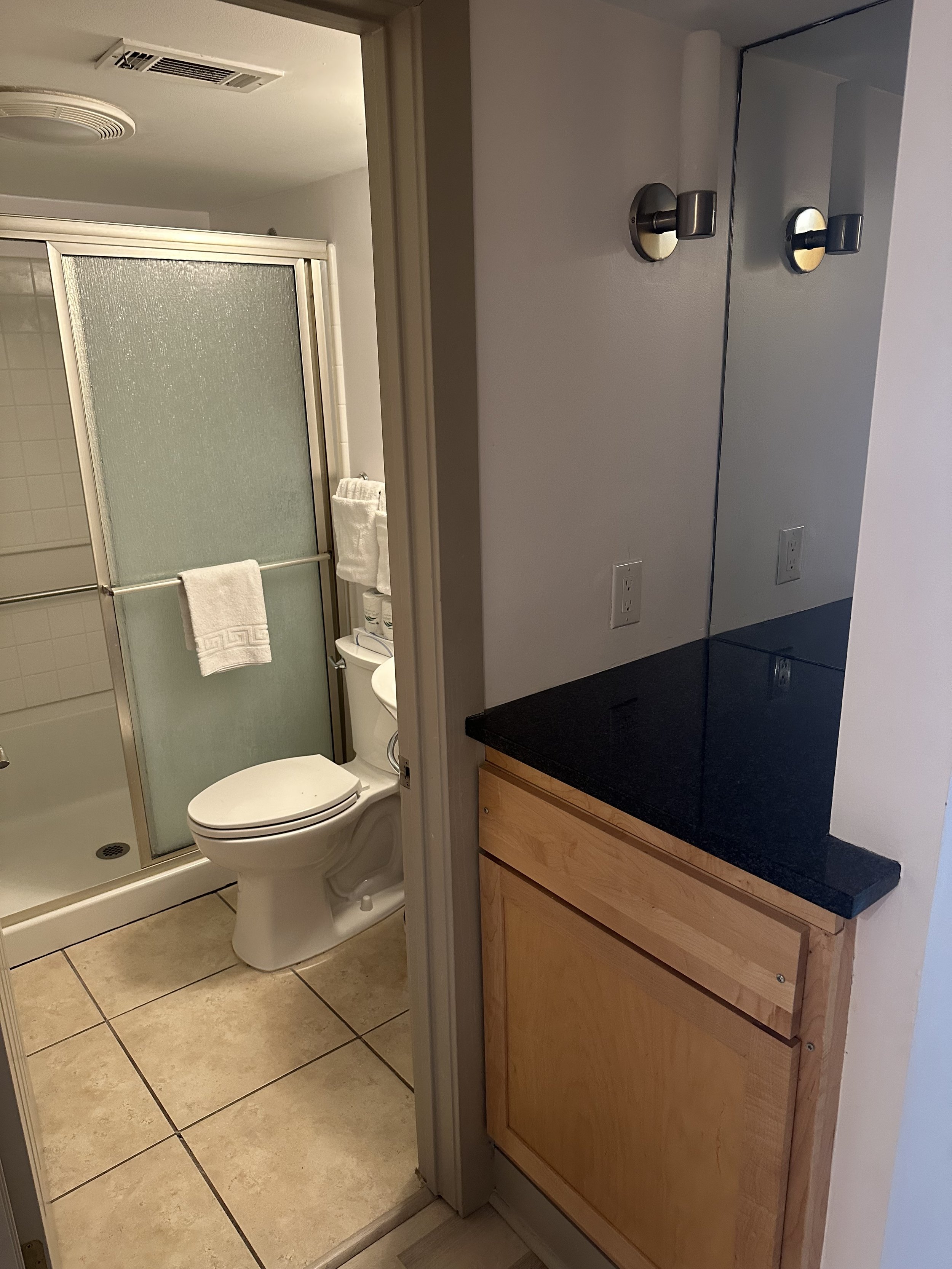 UPDATED BATH WITH WALK-IN SHOWER AND SEPARATE VANITY AREA