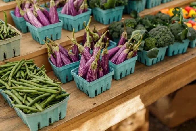 how-to-get-your-picky-toddler-with-ASD-to-eat-more-vegetables.jpg