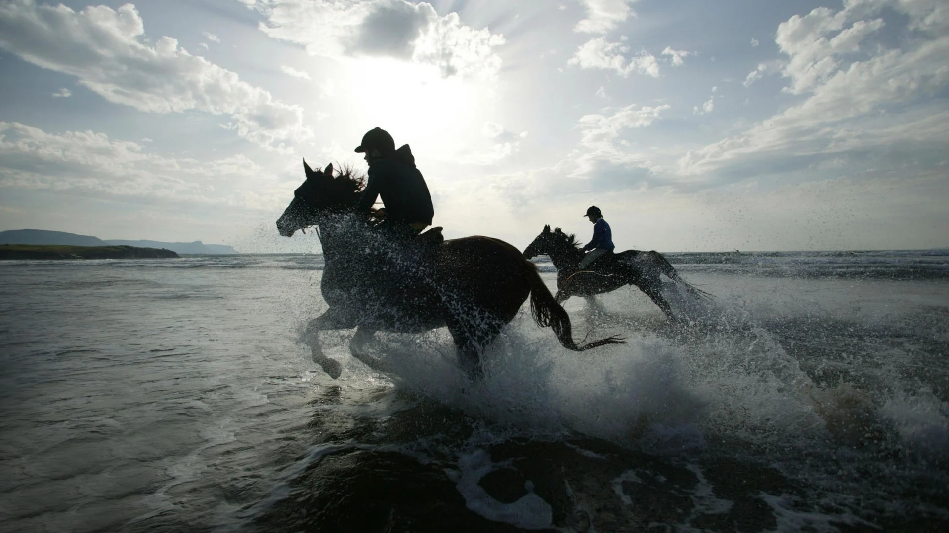 horse.jpg