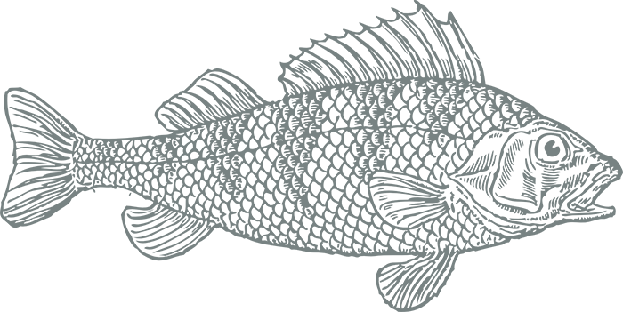 FISH copy copy2.png