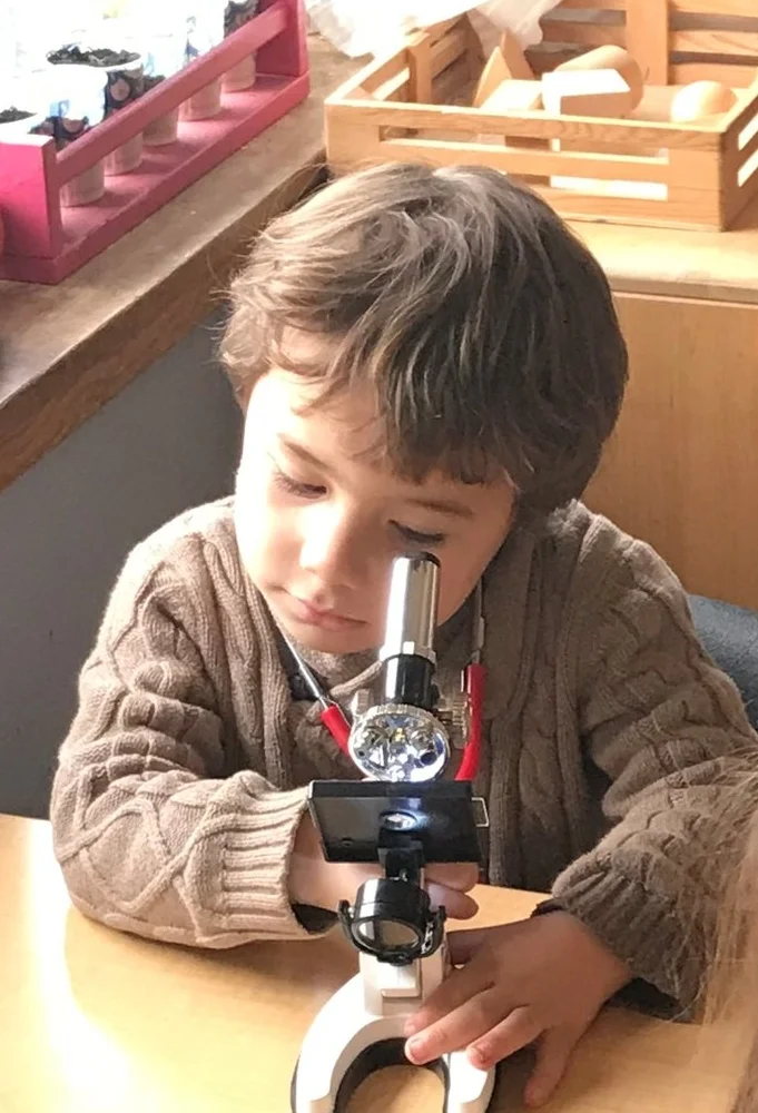 Microscope.jpg