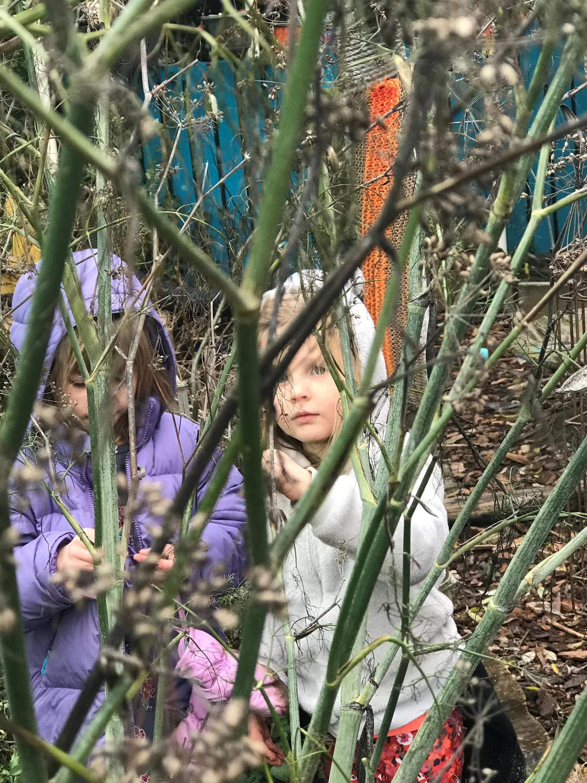 Nature exploring.jpg
