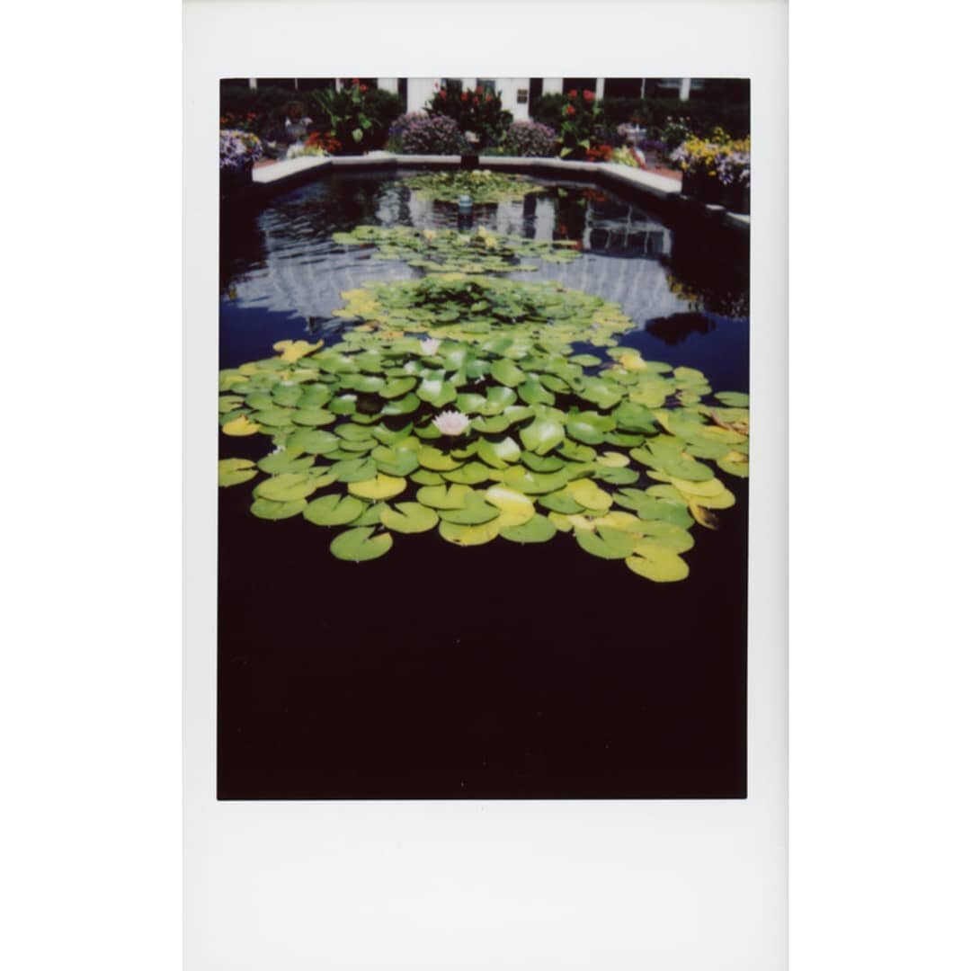 @thetoledozoo, Ohio.
⠀⠀⠀⠀⠀⠀⠀⠀⠀
📷: @fujifilm_northamerica Instax Mini 90
🎞️: Fujifilm Instax Mini Instant Film
⠀⠀⠀⠀⠀⠀⠀⠀⠀
Scanned with a Scan Adapter MINI &rarr; (link to purchase in profile)
⠀⠀⠀⠀⠀⠀⠀⠀⠀⠀⠀⠀⠀⠀⠀⠀⠀⠀
#Fujifilm #Instax #InstaxMini #InstaxMi