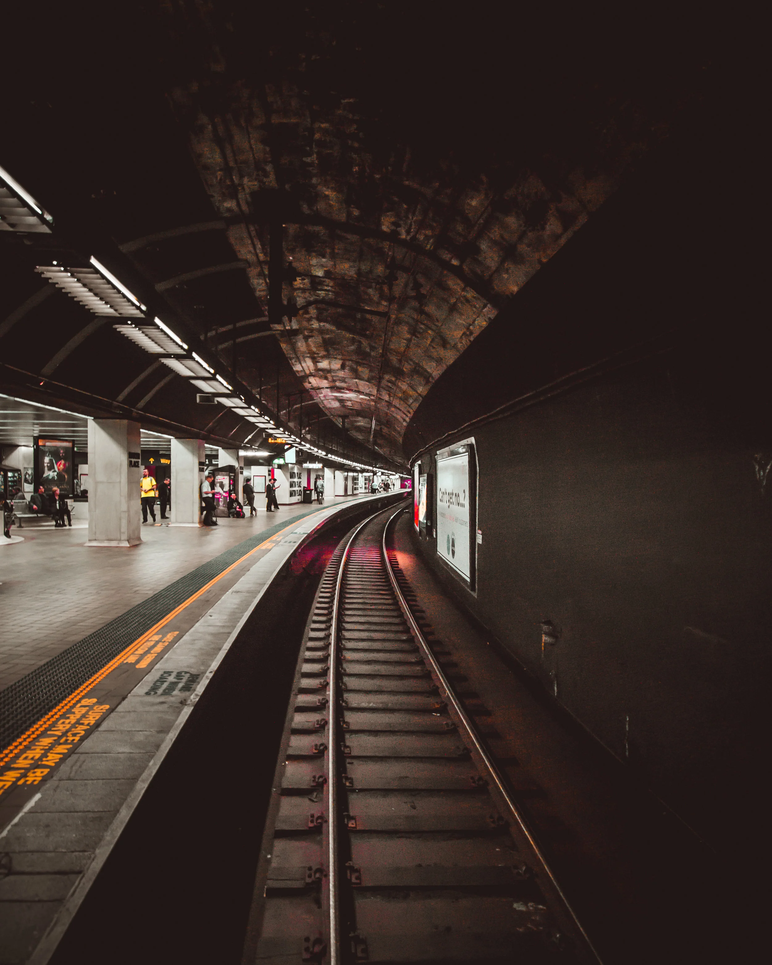  Like veins of the body, like branches of the tree the tunnels of the city connect the lifeblood and the breath of the people within it. The trains always moving, somtimes stopping only to move on again. a constant reminder that this city never sleep