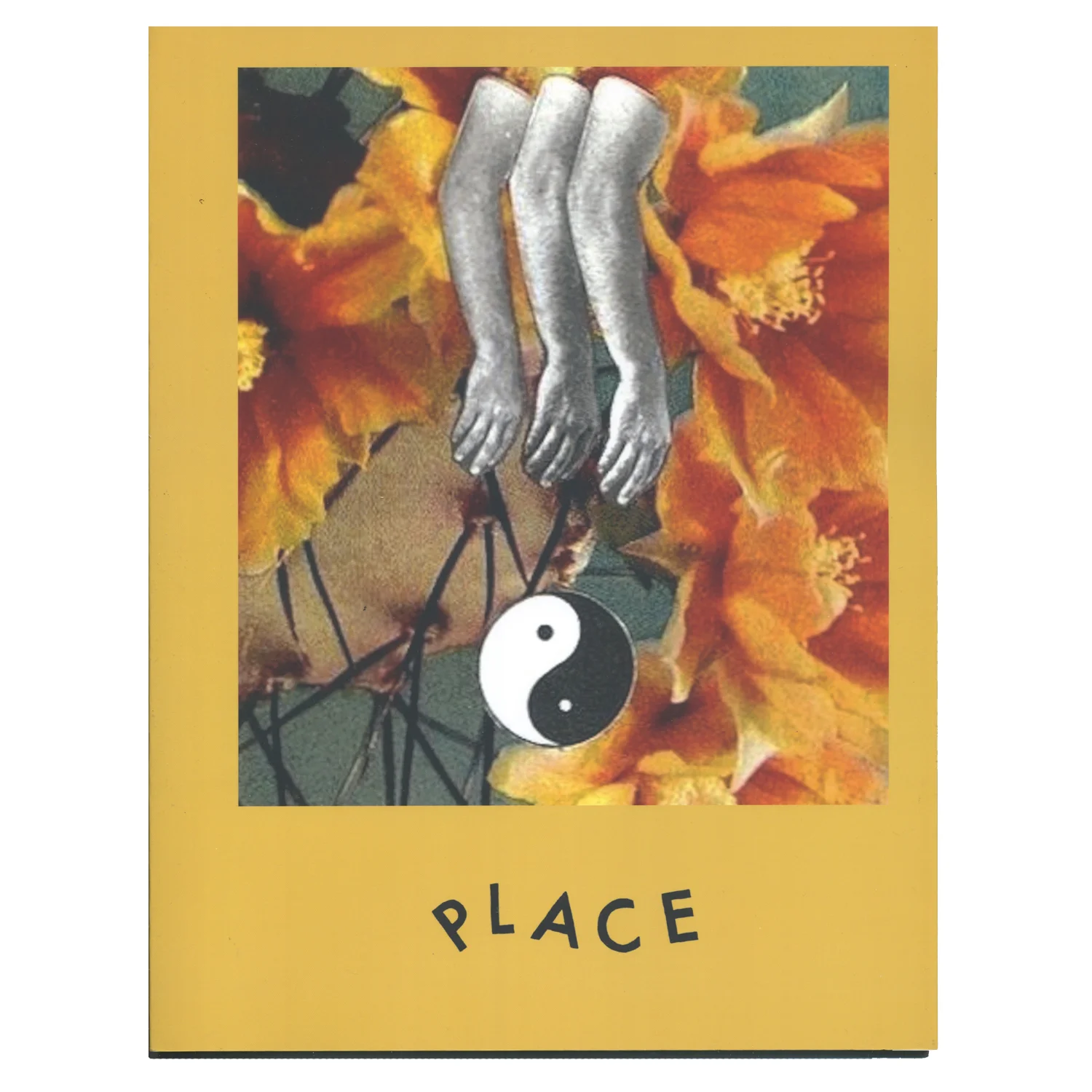 Place Cover Scan cleaned smaller.jpg