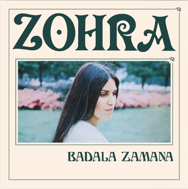 Zohra Email Newsletter.png