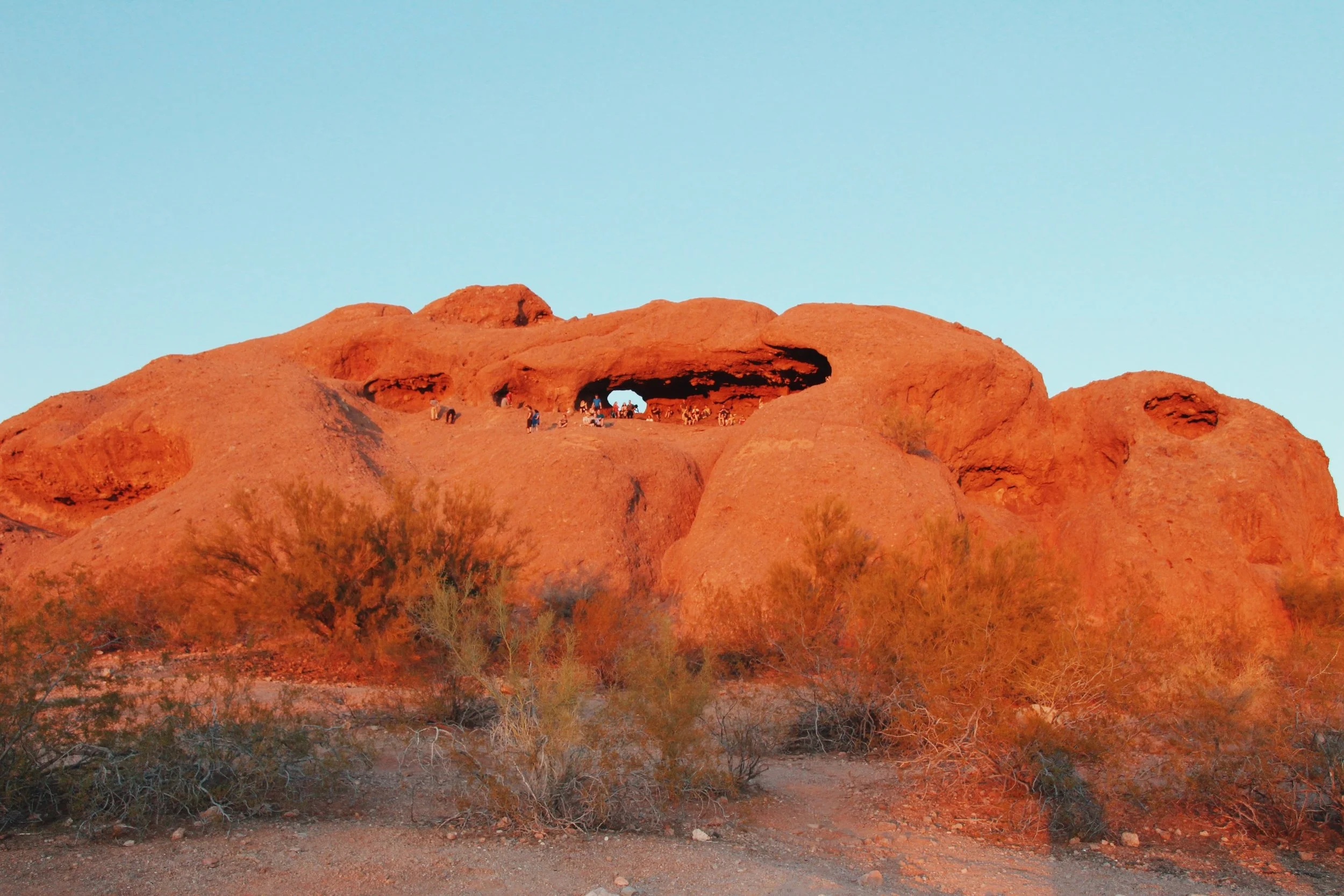 Phoenix Travel Guide