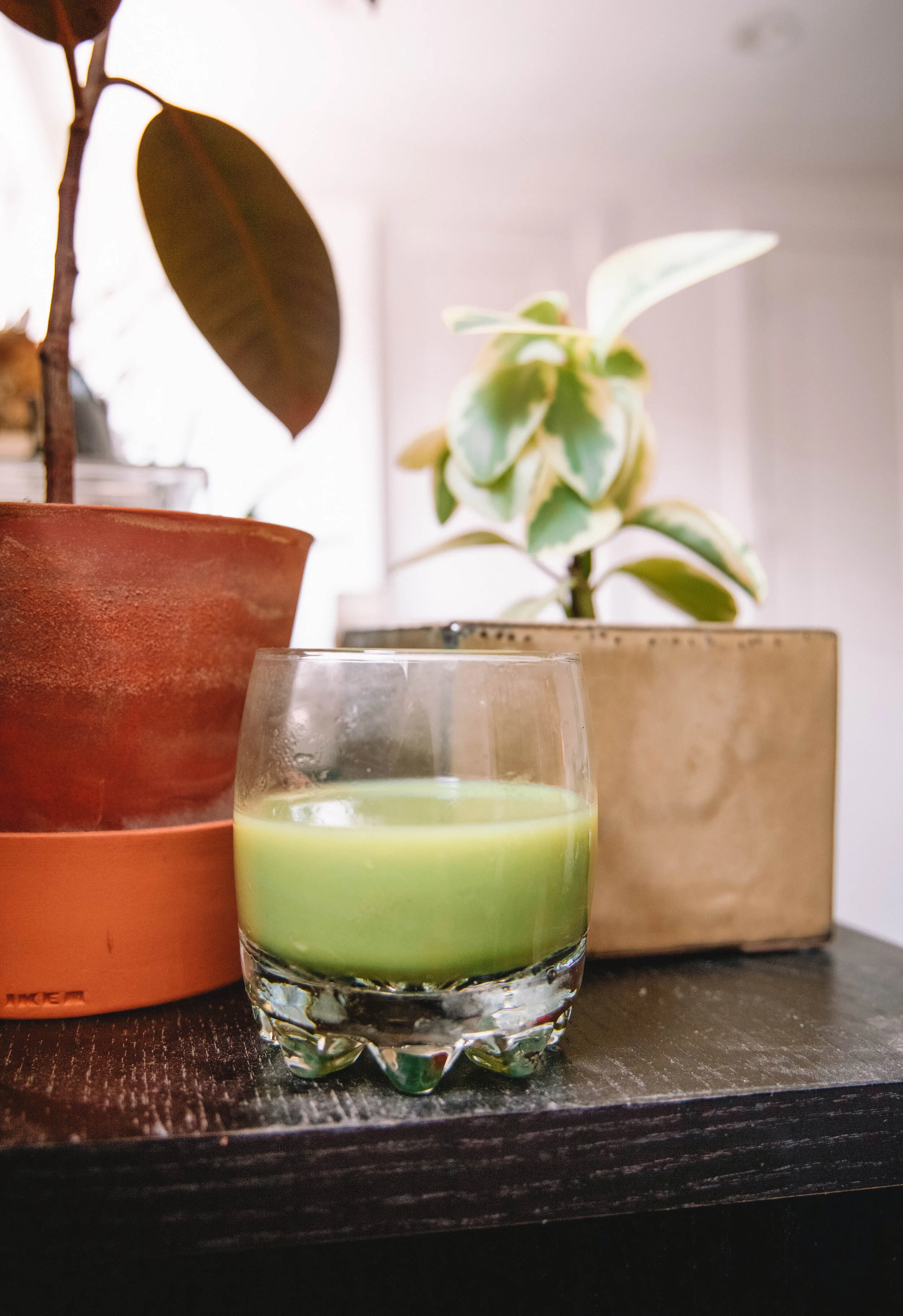 My Take on a Homemade Matcha Freddo