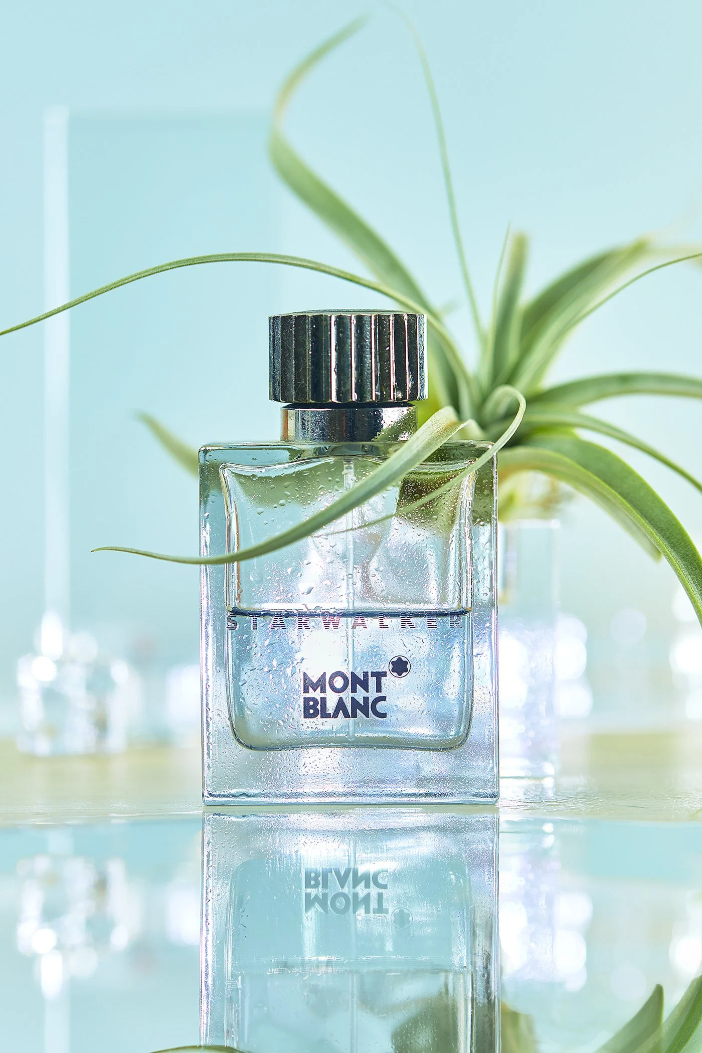 perfume_style1.jpg