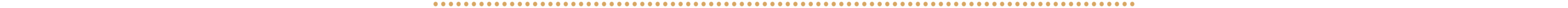 Web_Dot-Divider-02-03.png
