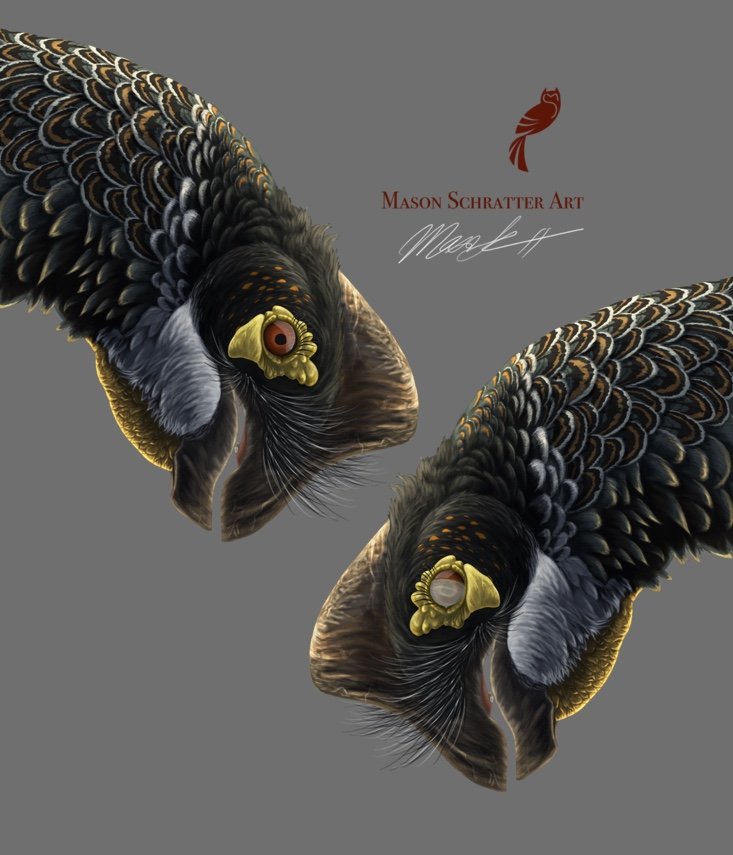 Deinocheirus — Mason Schratter Art