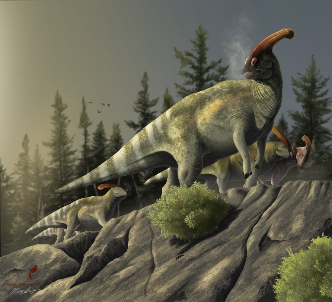 Deinocheirus — Mason Schratter Art