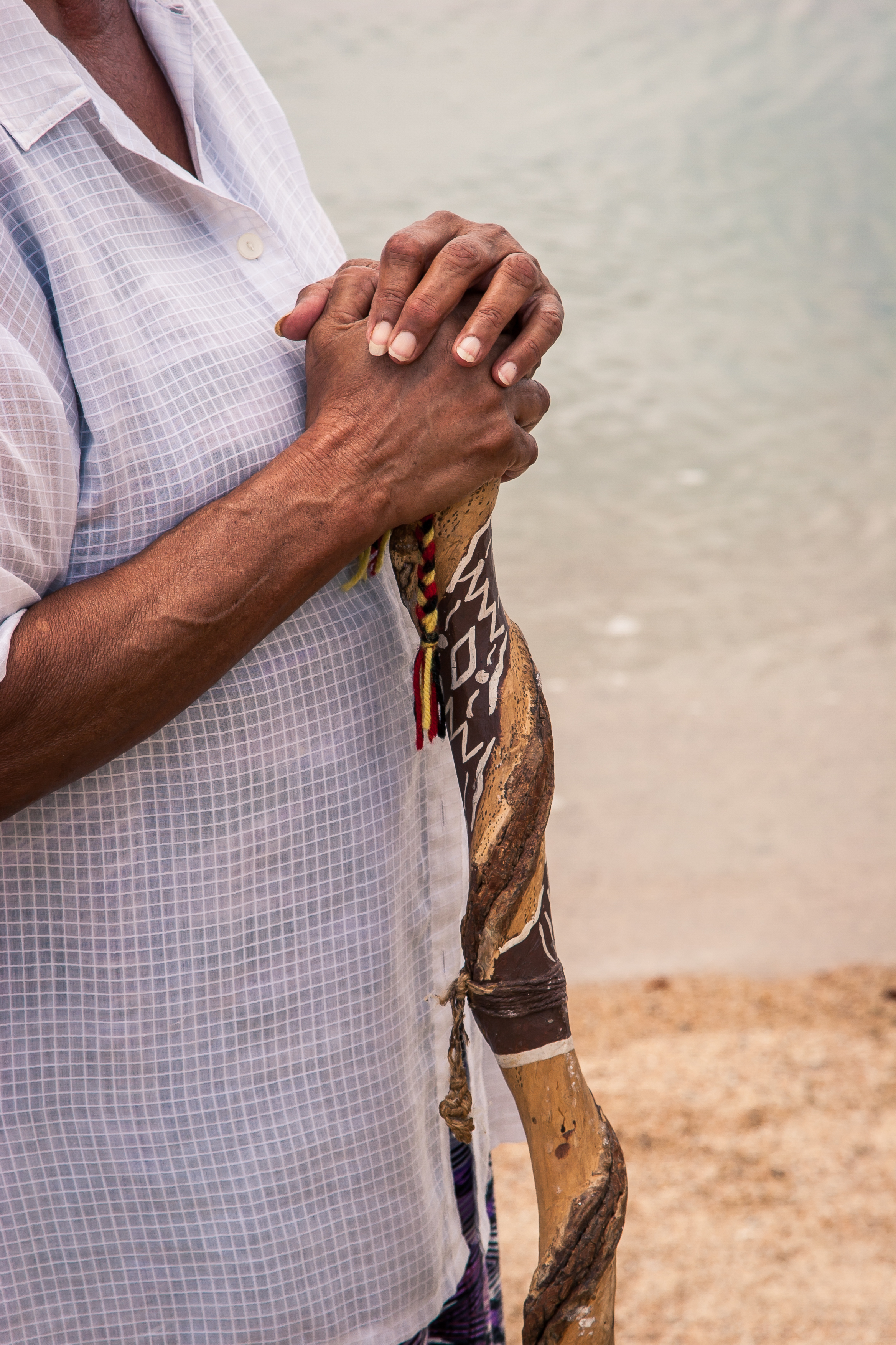 WWF Turtle Conservation Program-263.jpg