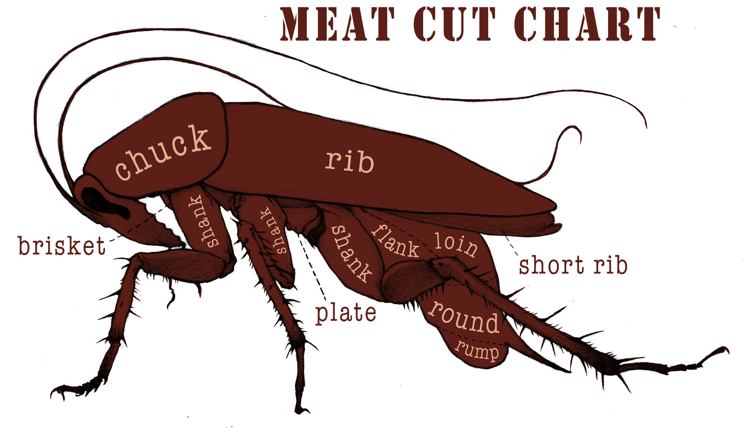 roachcuts.jpg