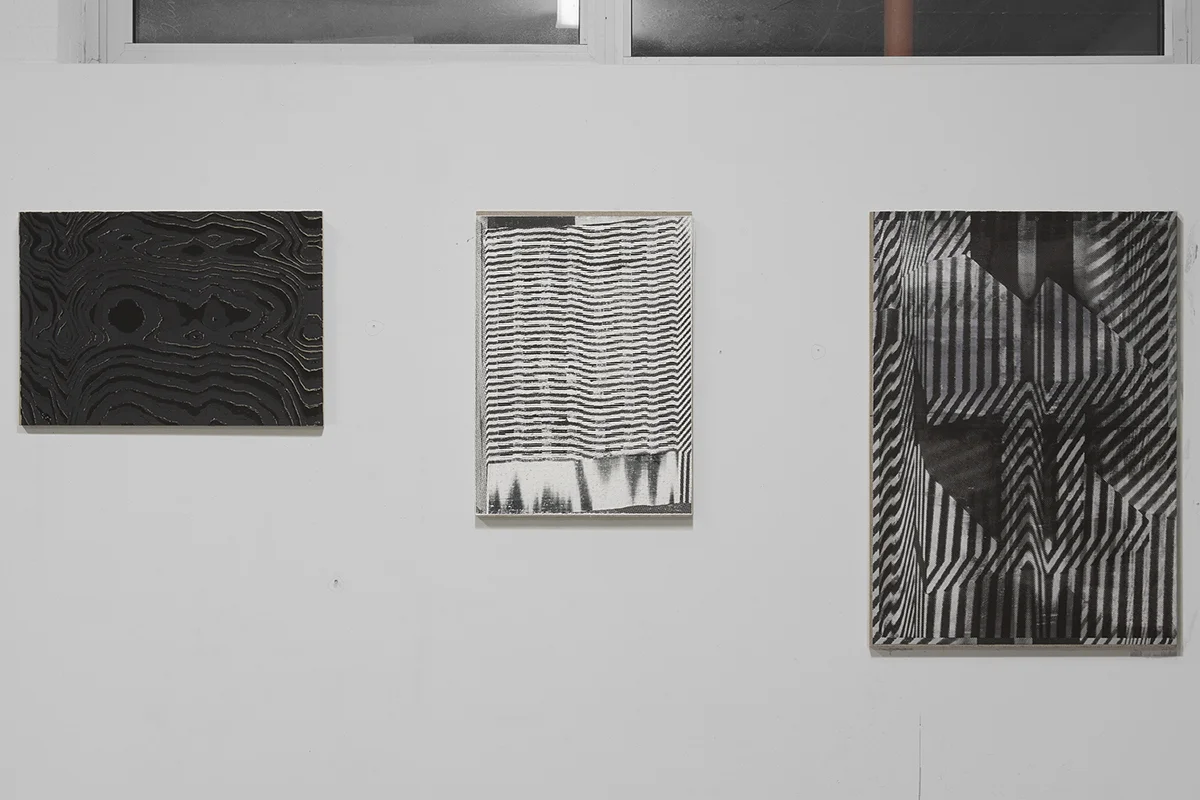 Hotzestrasse 23, silkscreen ink on canvas mounted to panel, 16.5 x23 inches, 23 x 16.5 inches, 33 x 23 inches, 2013