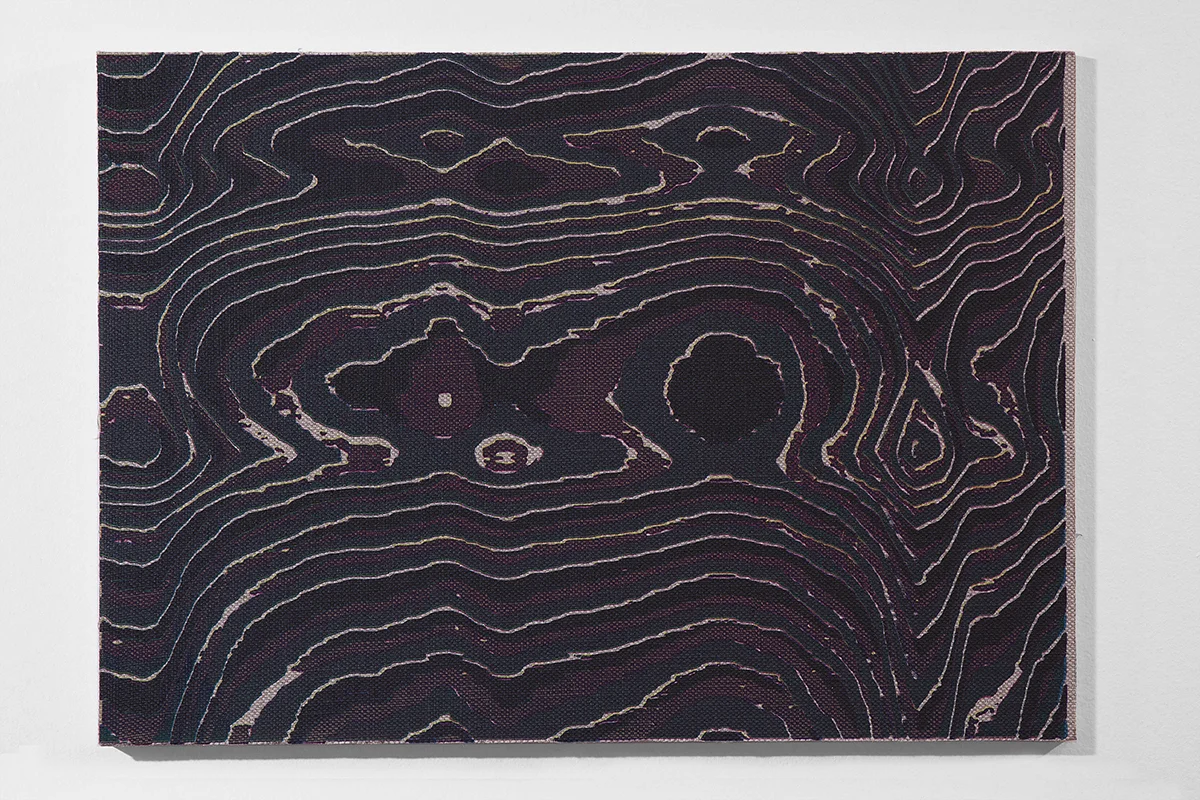 Hotzestrasse 23, silkscreen ink on canvas mounted to panel, 16.5 x 23 inches, 2014
