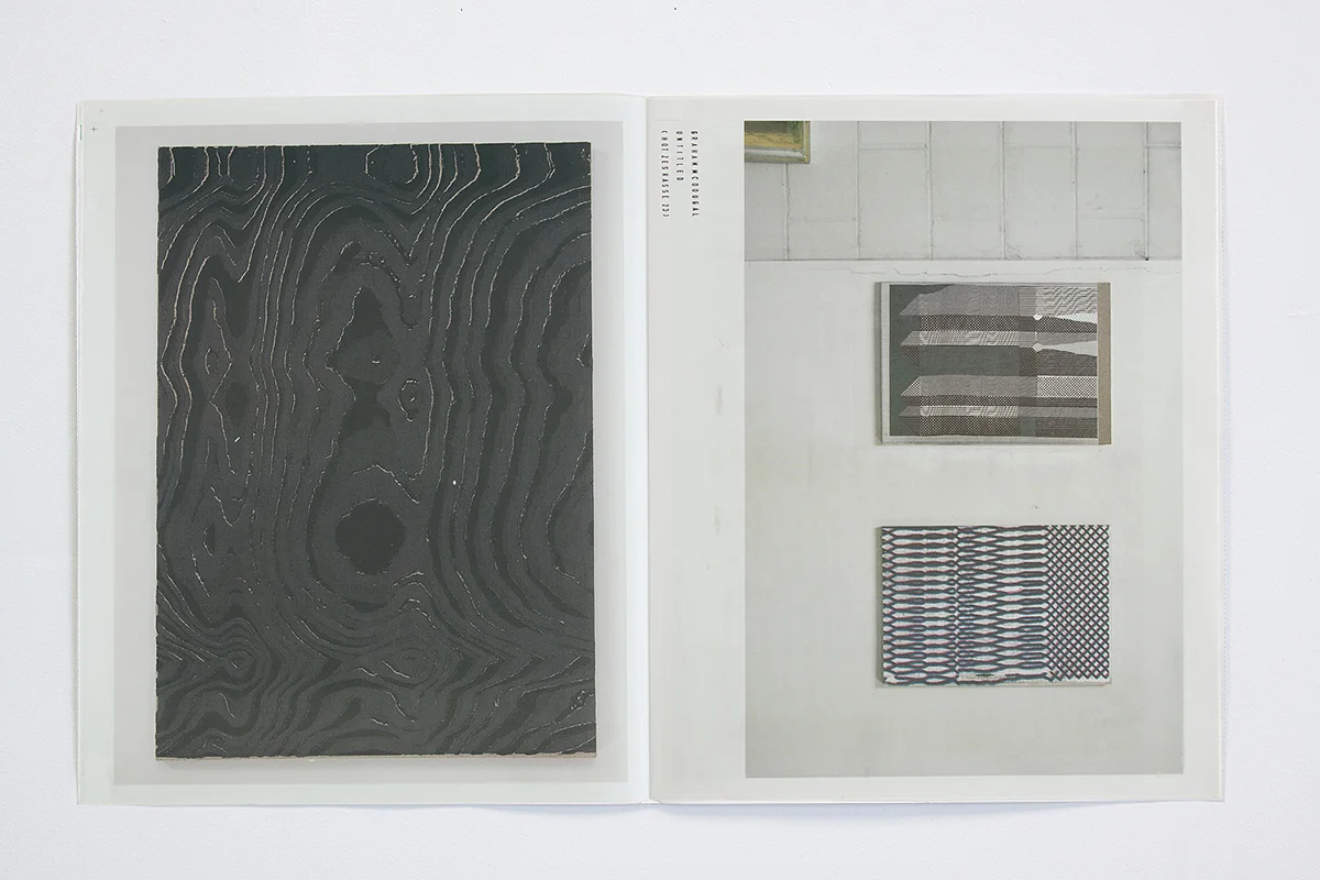 Untitled (Hotzestrasse 23), standard tabloid newsprint with silkscreen additions, 14x22in (open), 2013 available at Printed Matter Inc.